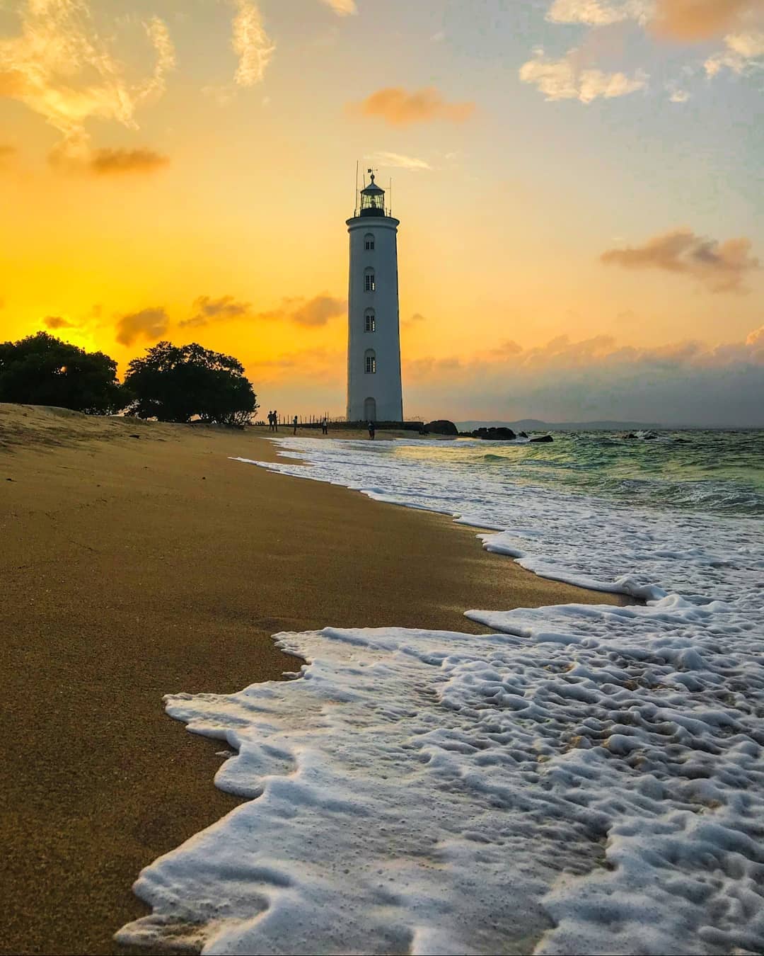 Birdwatching Opportunities