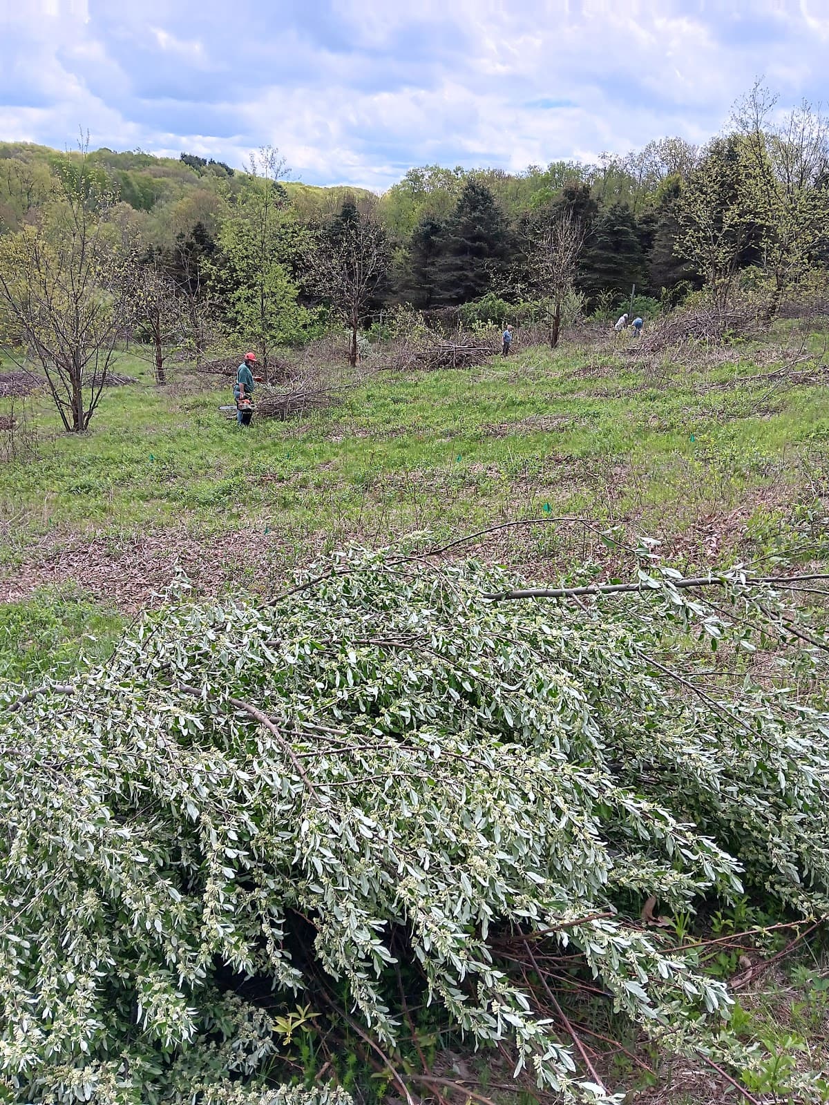 Livingston Ripley Waterfowl Conservancy - Image 1