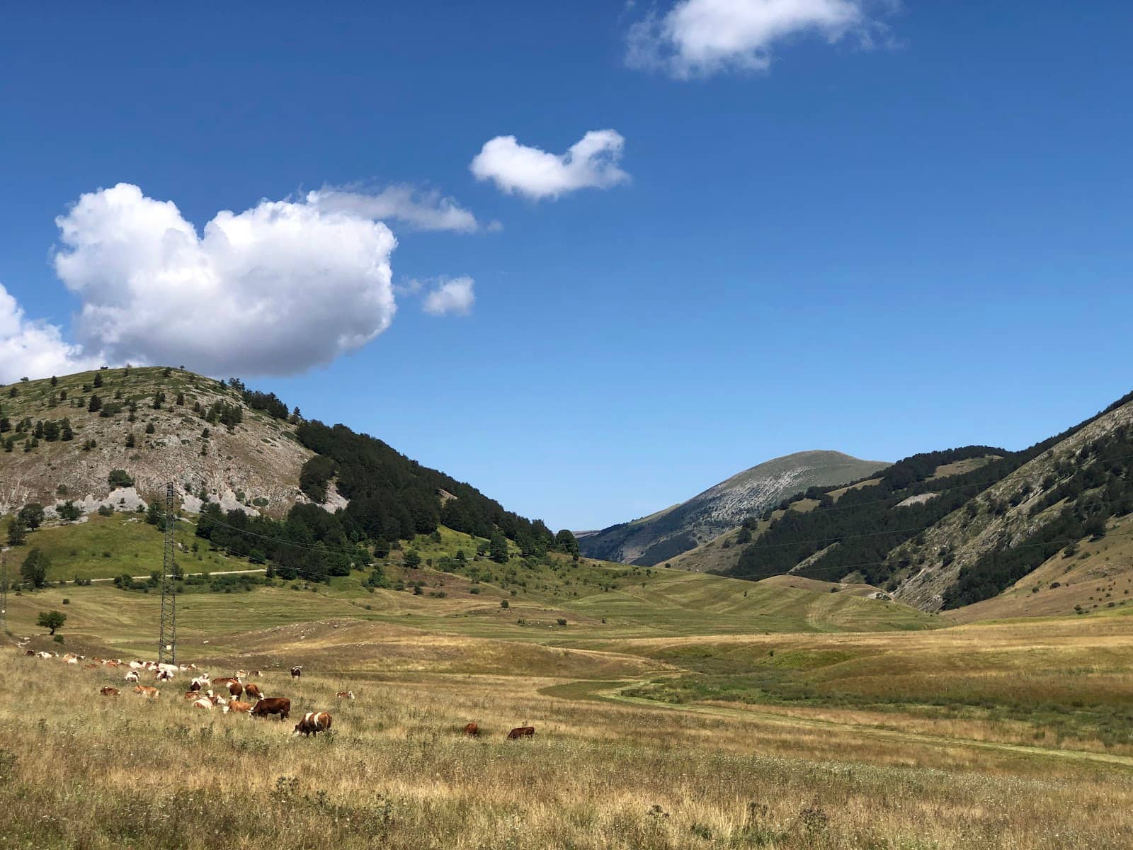 Agriturismo Passo Godi