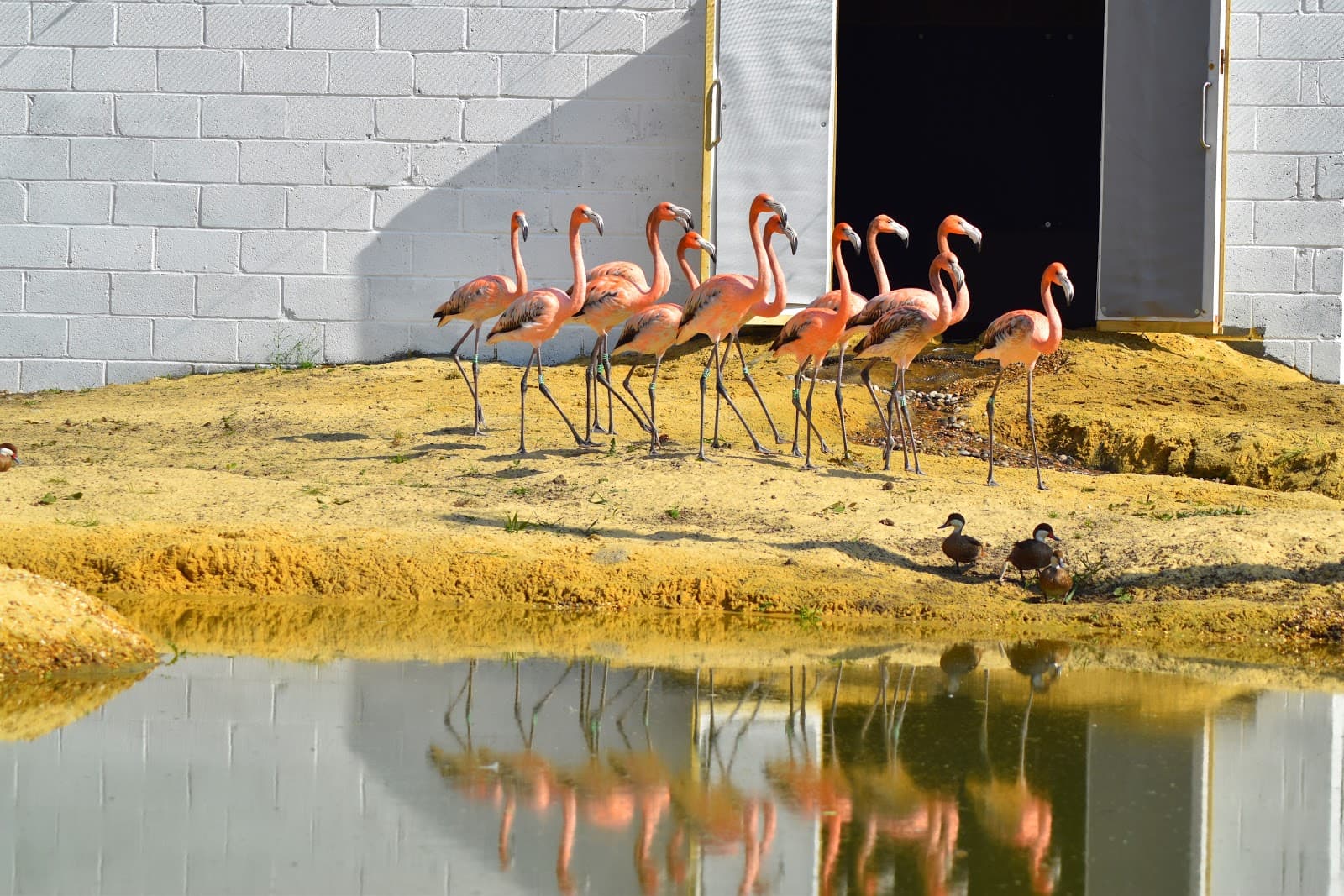 Hanwell Zoo - Image 1