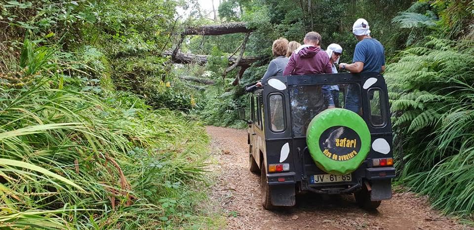 Local Insights from Guides