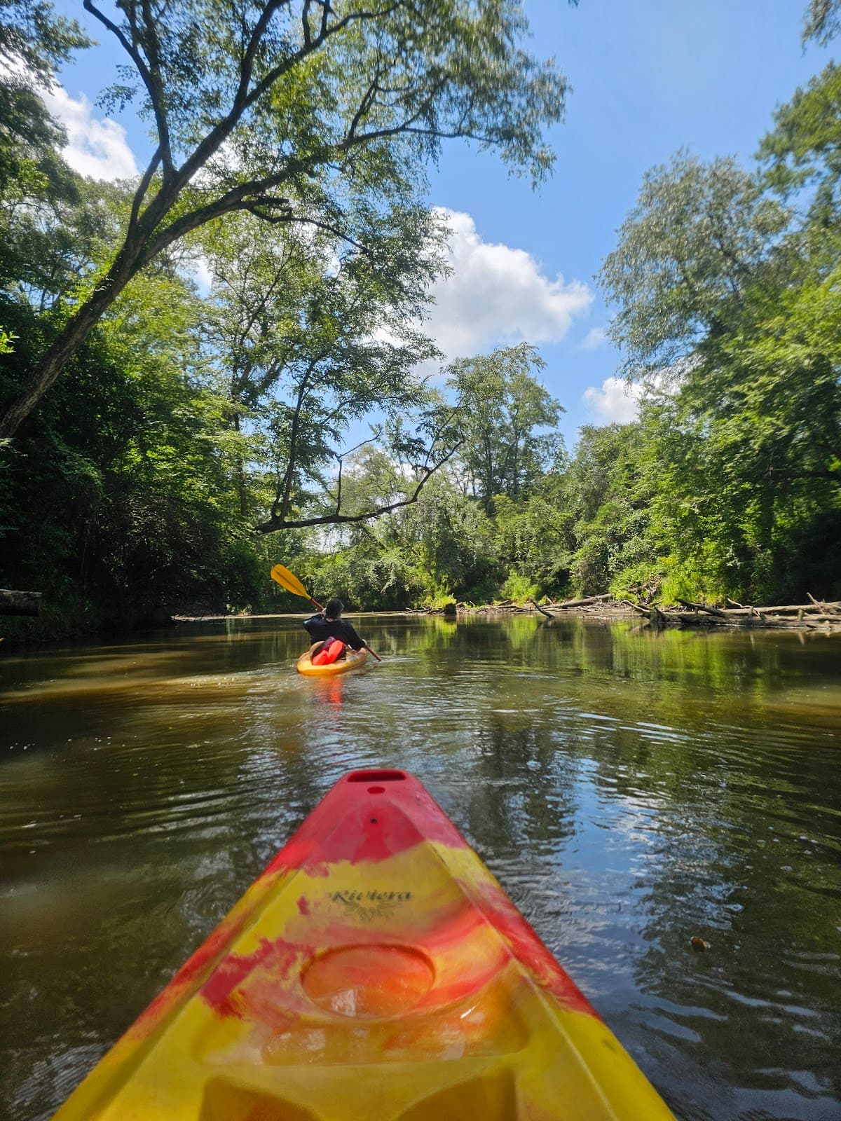 Okatoma Creek - Image 1