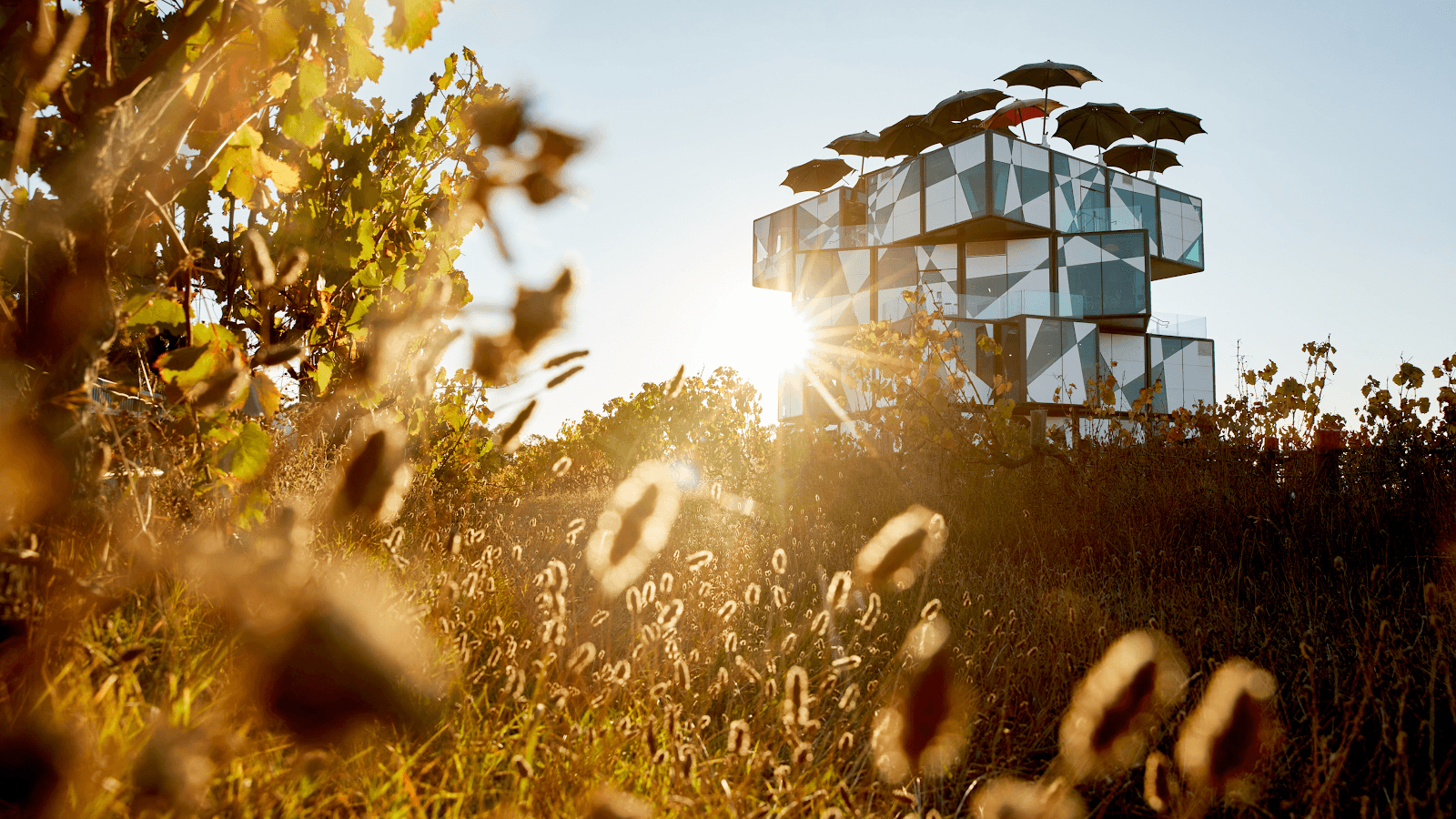 d'Arenberg Cube - Image 1