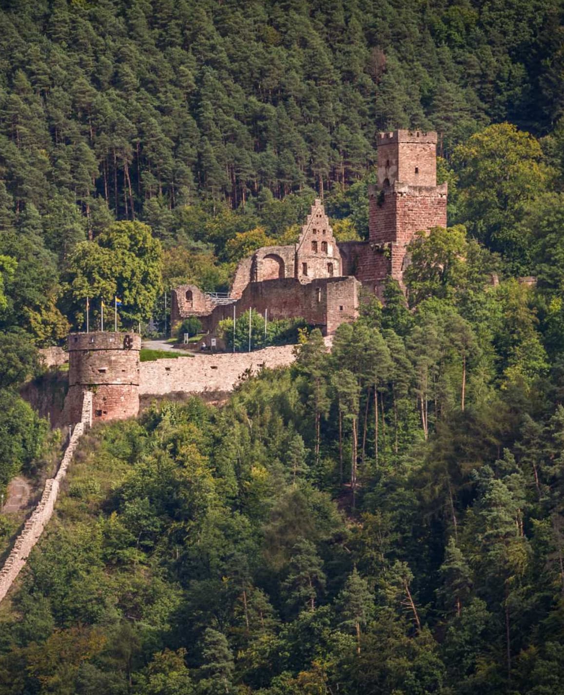 Freudenberg Castle Ruins - Image 1