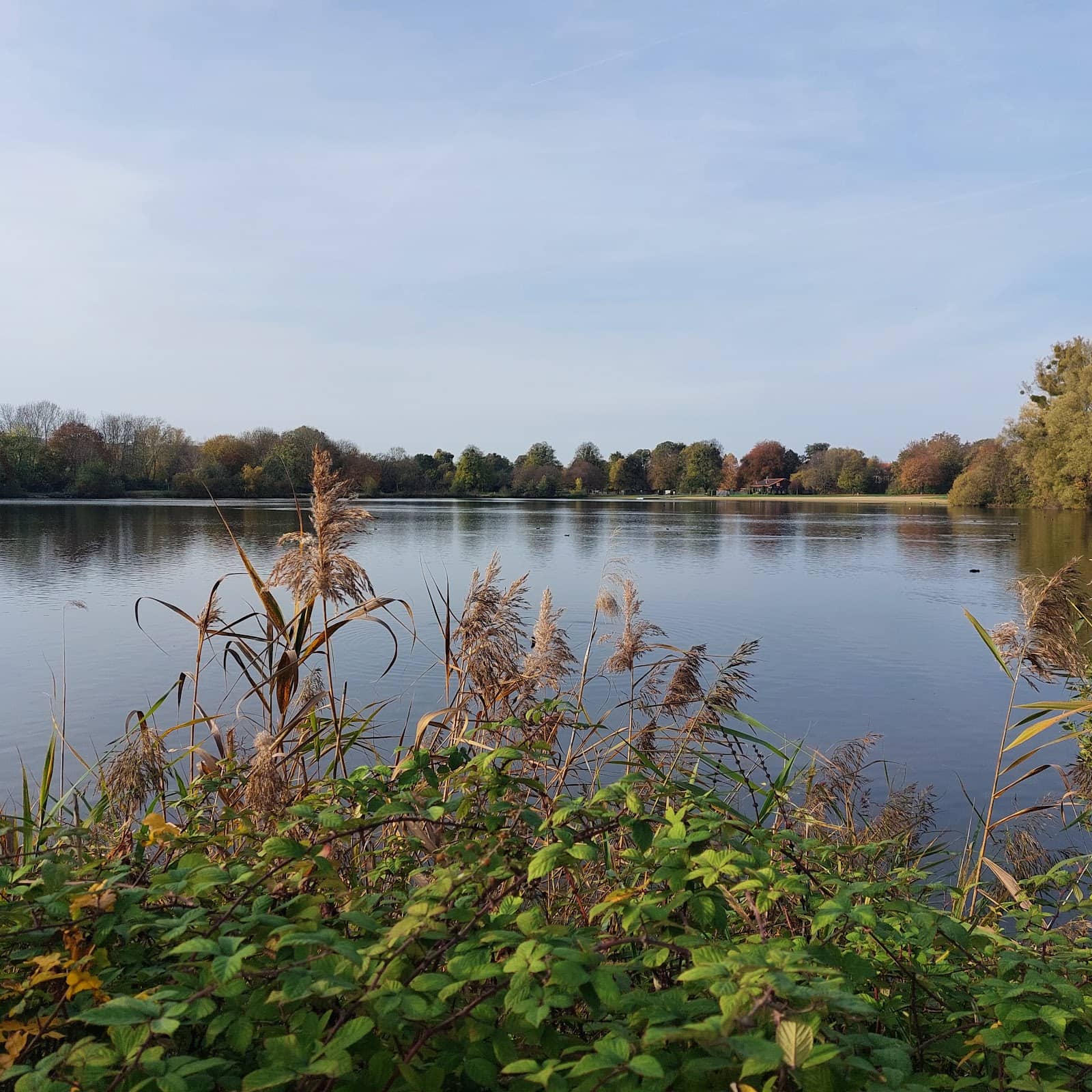 Medieval Market Magic