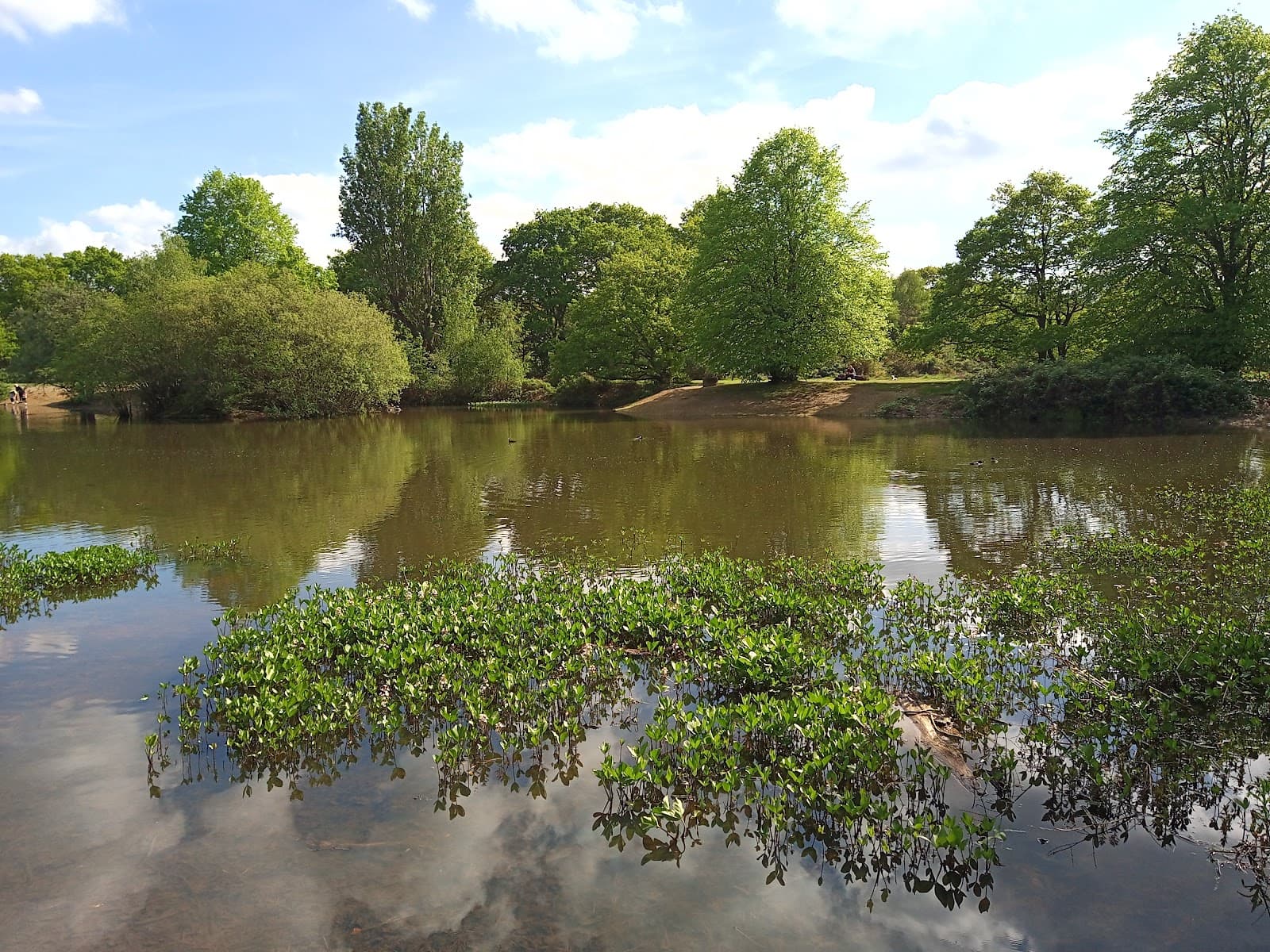 Mitcham Common - Image 1