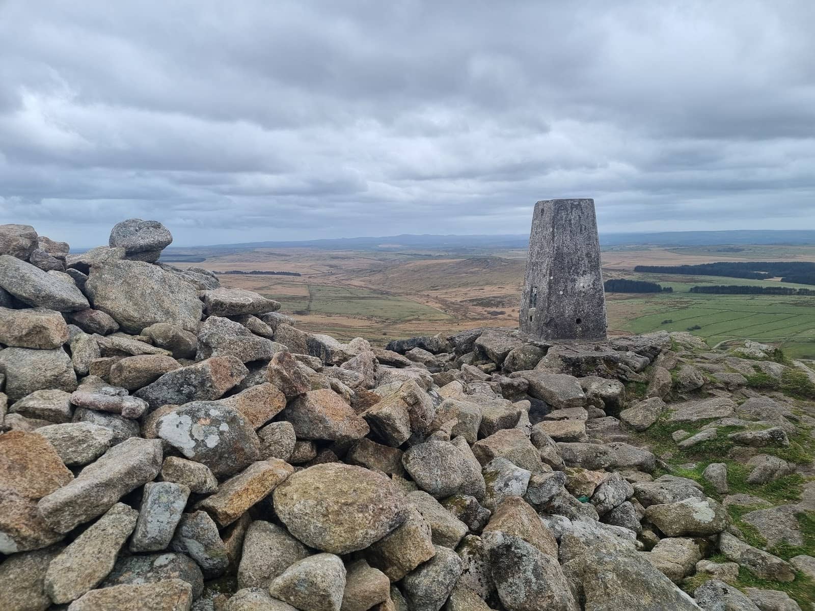Bodmin Moor Wildlife