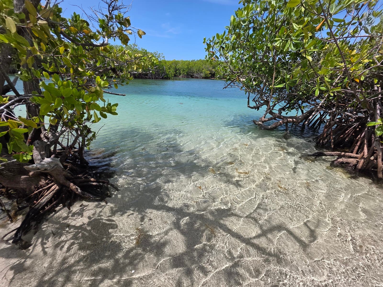 Gilligan's Island (Cayo Aurora) - Image 1