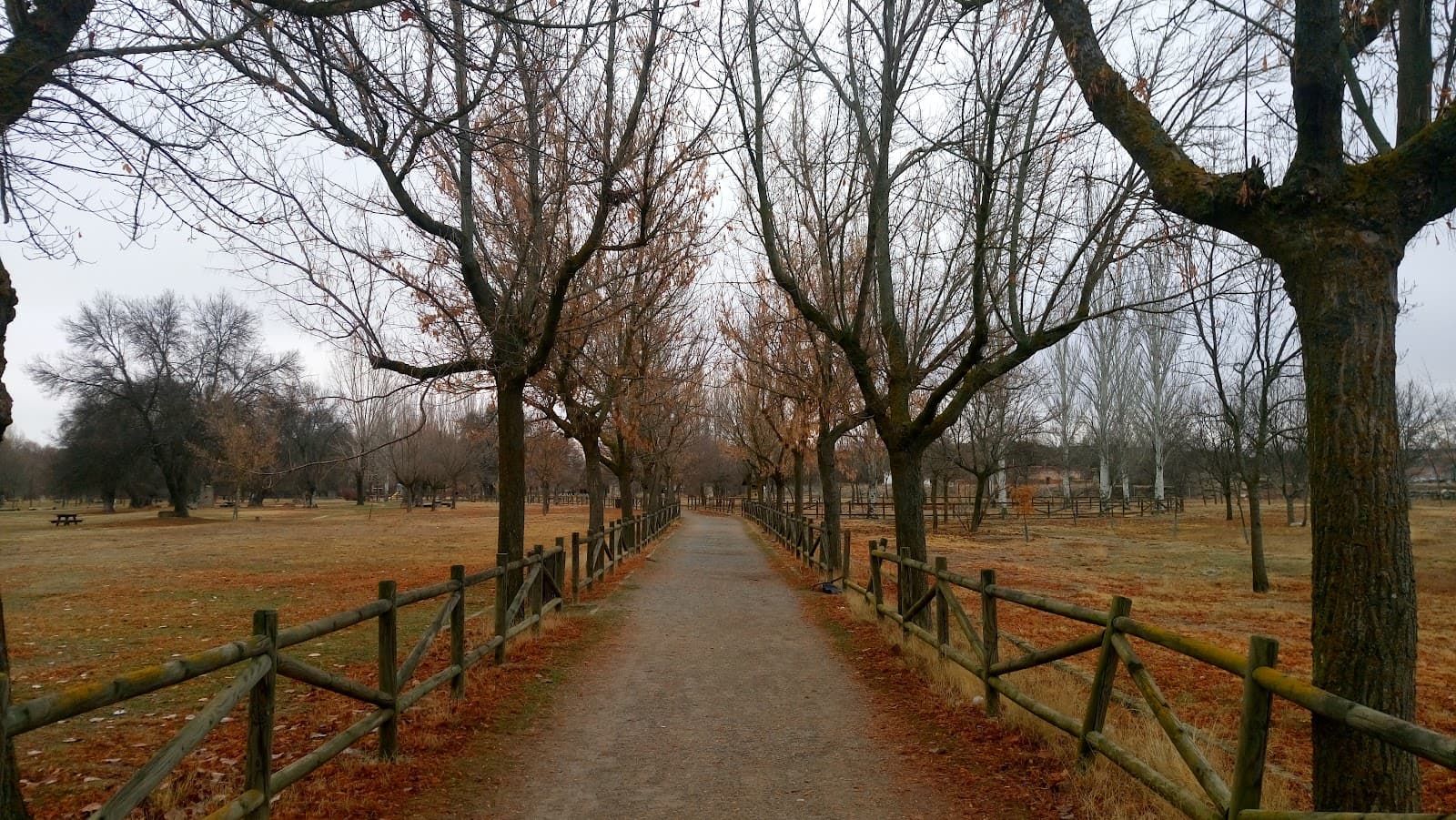 El Soto Park - Image 1