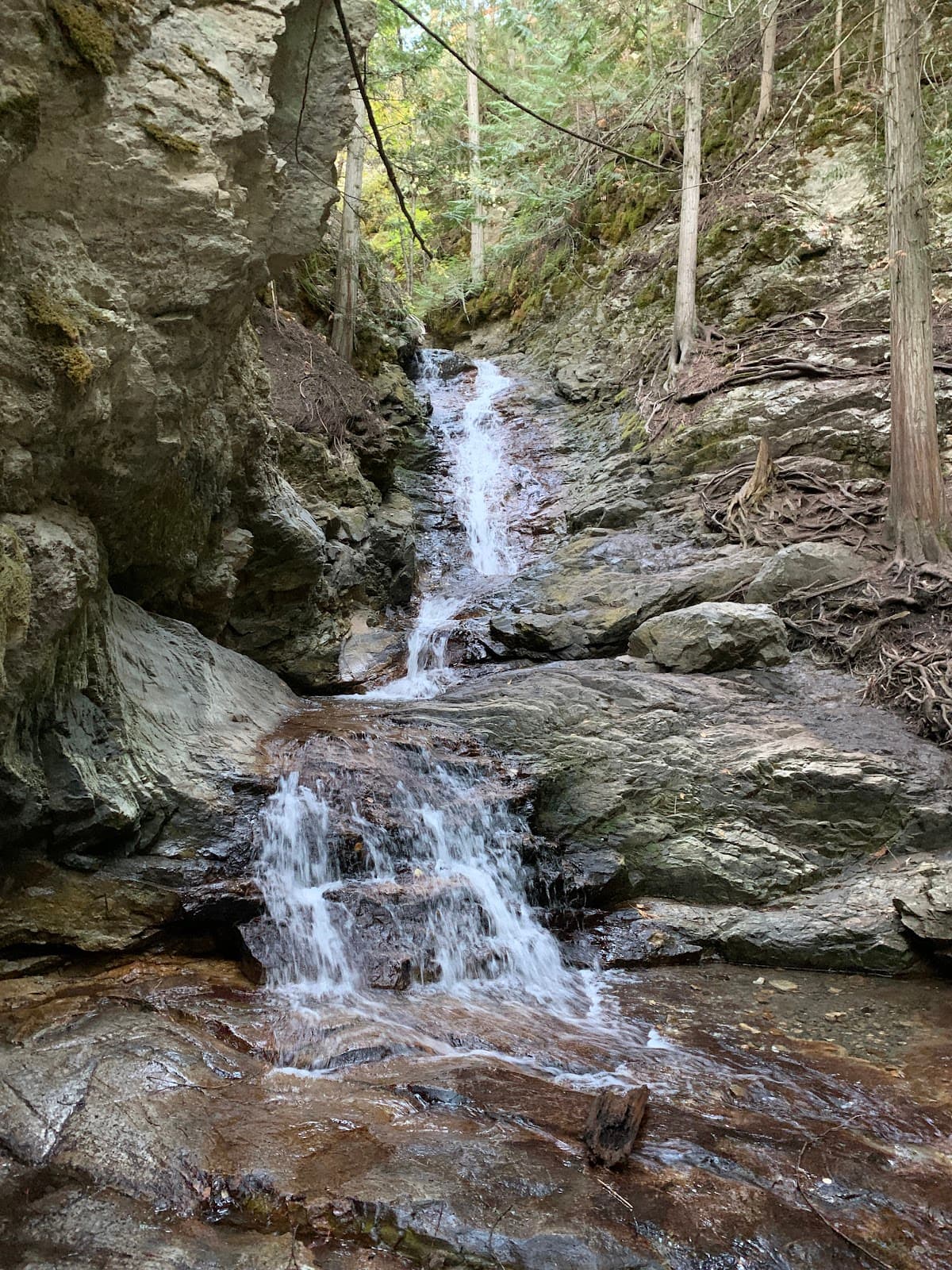 BX Falls Bronx - Image 1