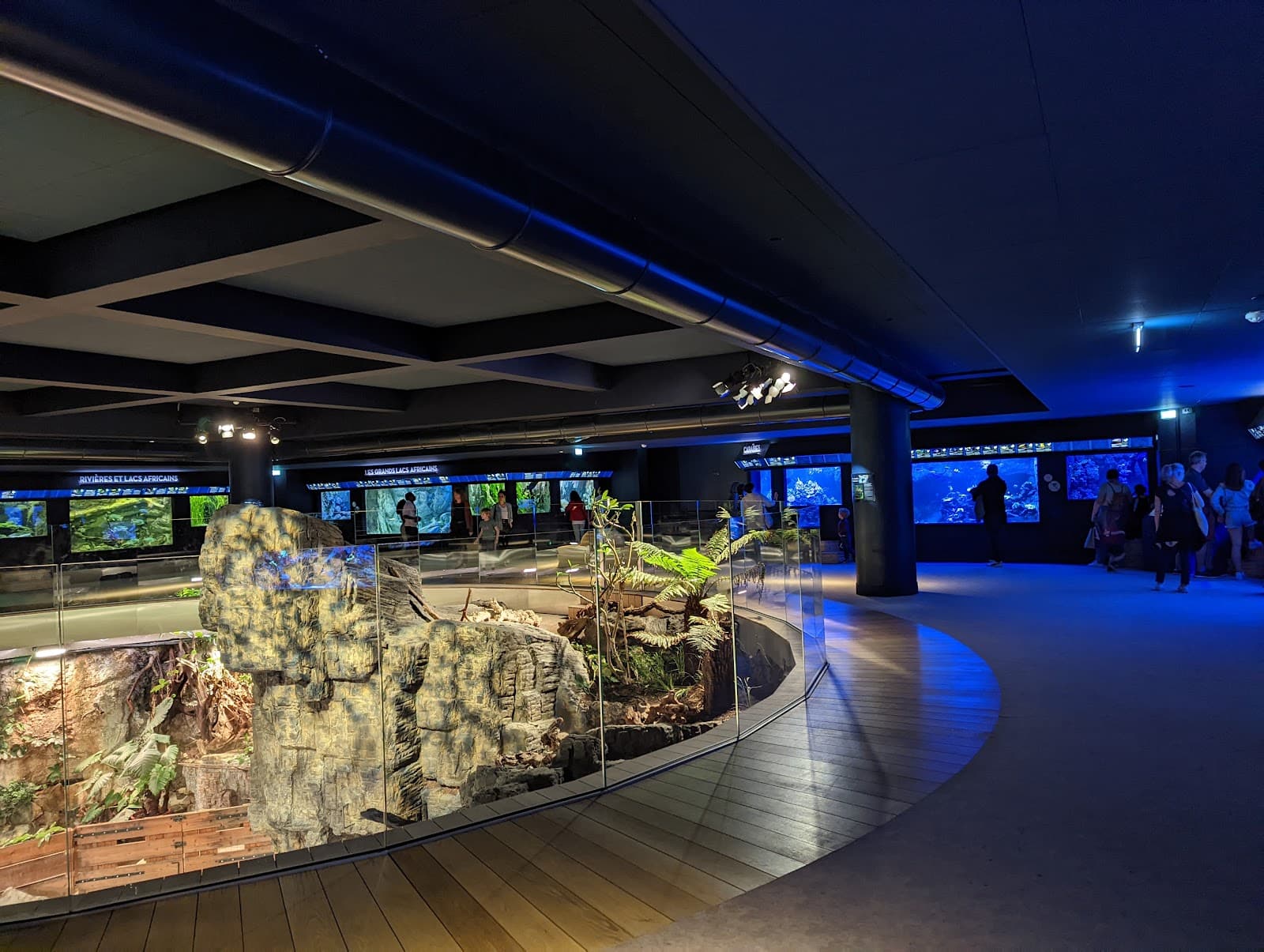 Aquarium tropical de la Porte Dorée - Image 1