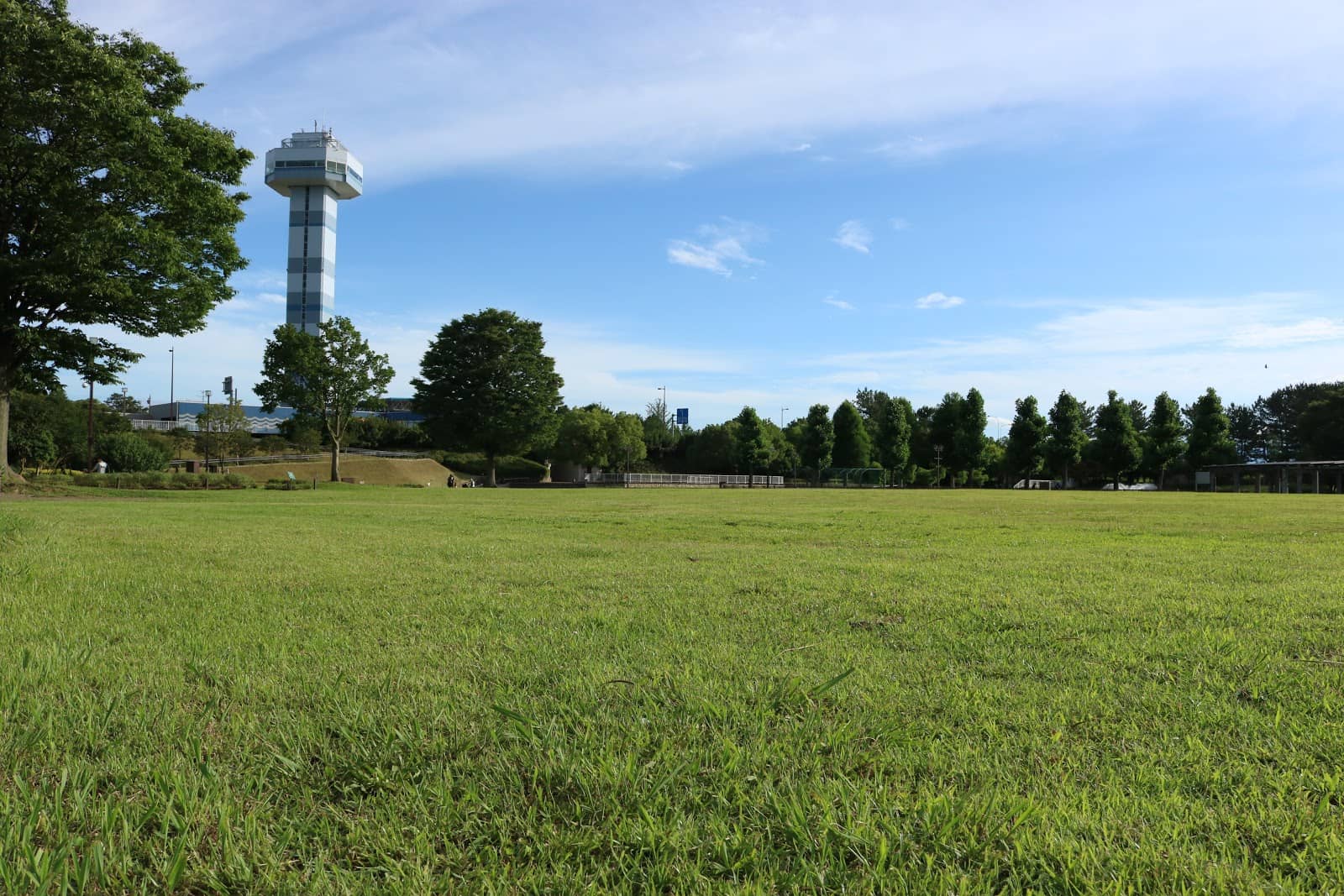 Expansive Playgrounds