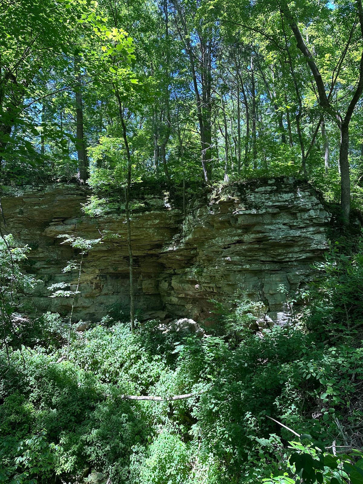Sandhouse Cave (River Level)