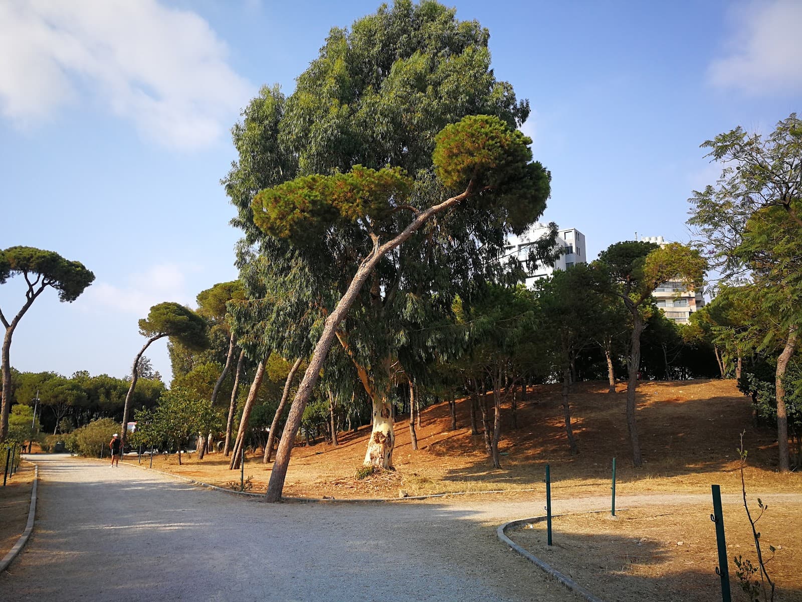 Horsh Beirut - Image 1