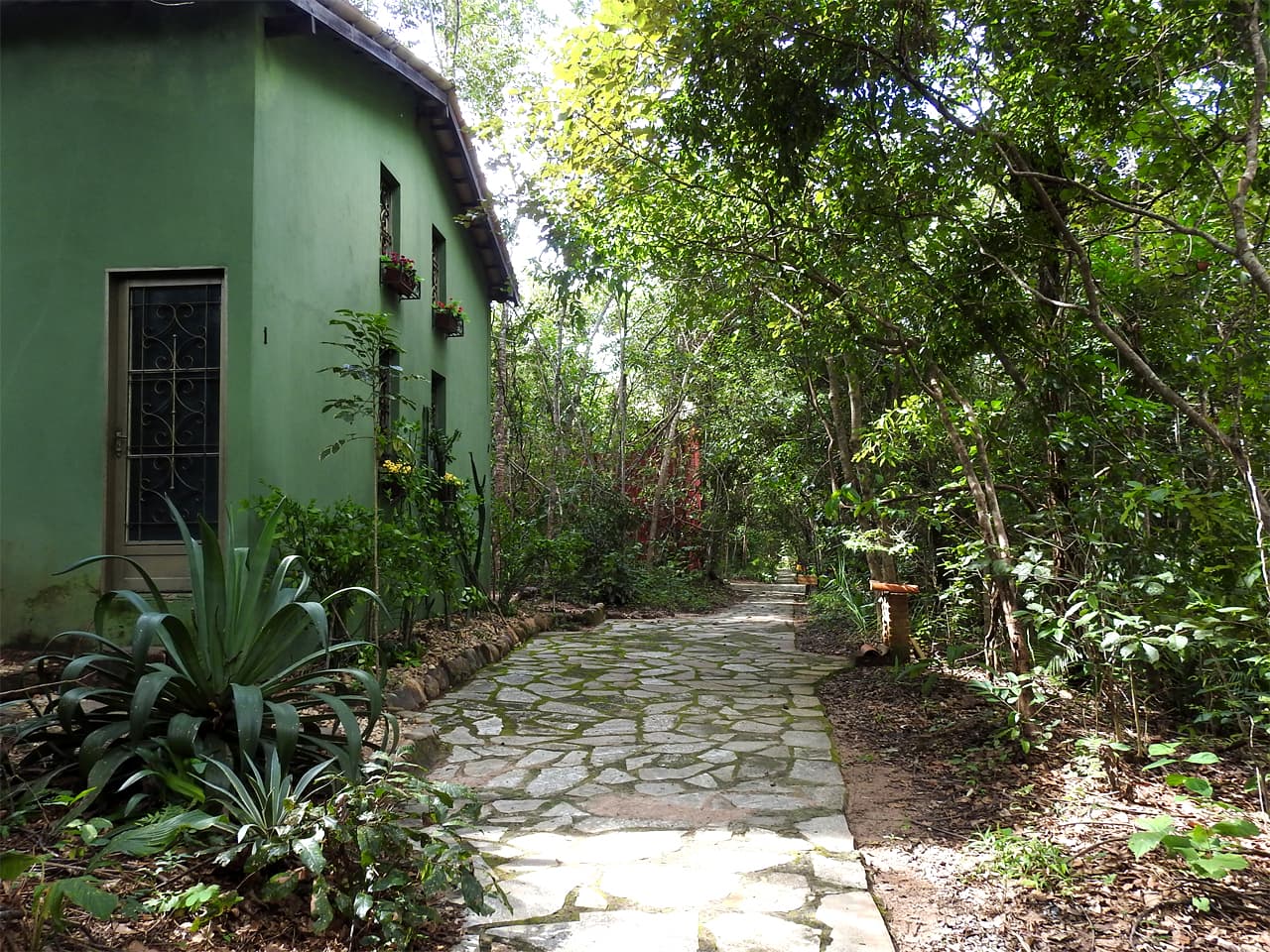 Águas Termais do Éden - Image 1