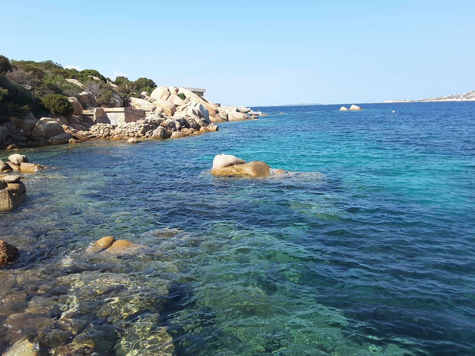 Abundant Marine Life