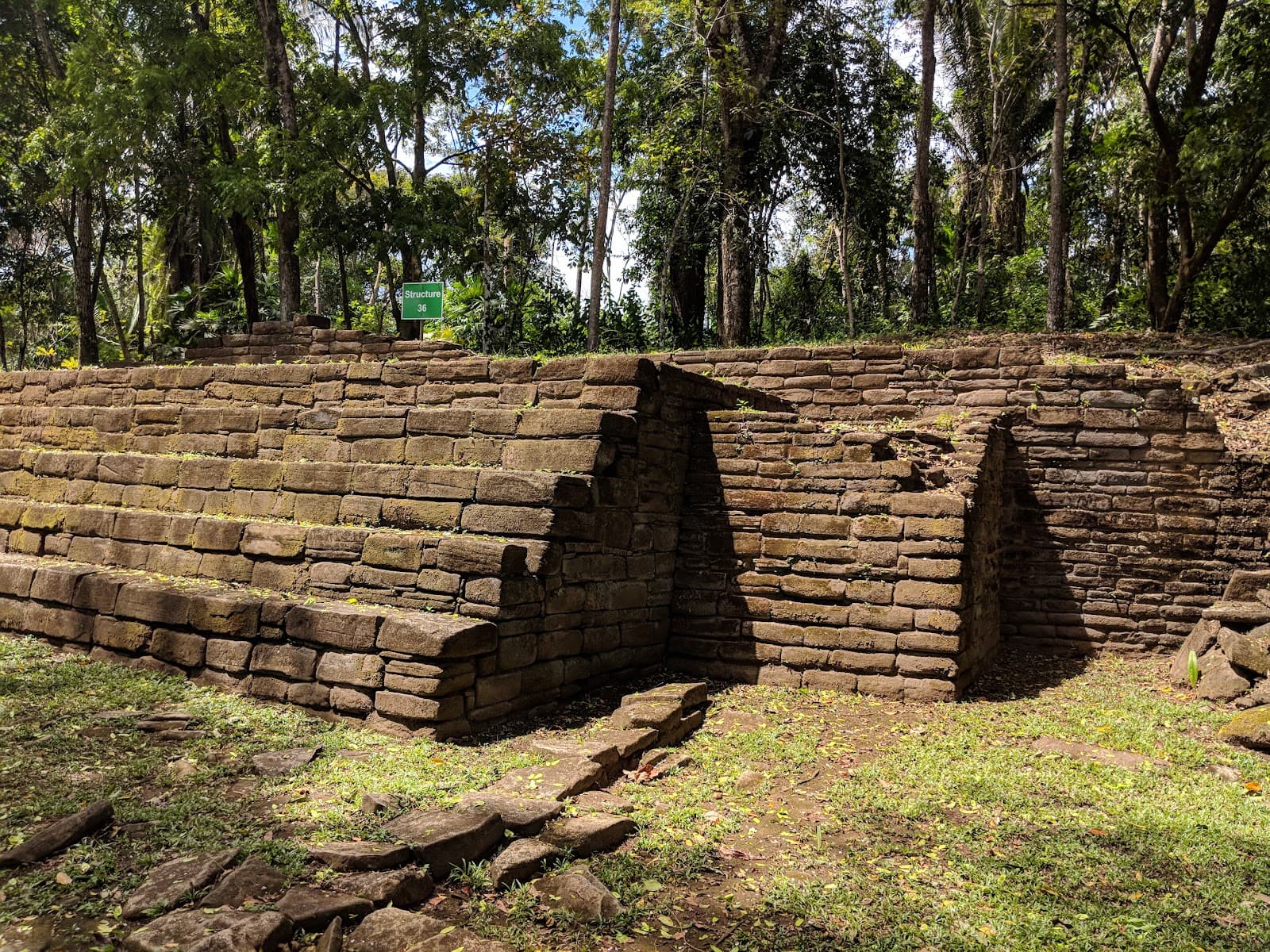 Nim Li Punit - Image 1