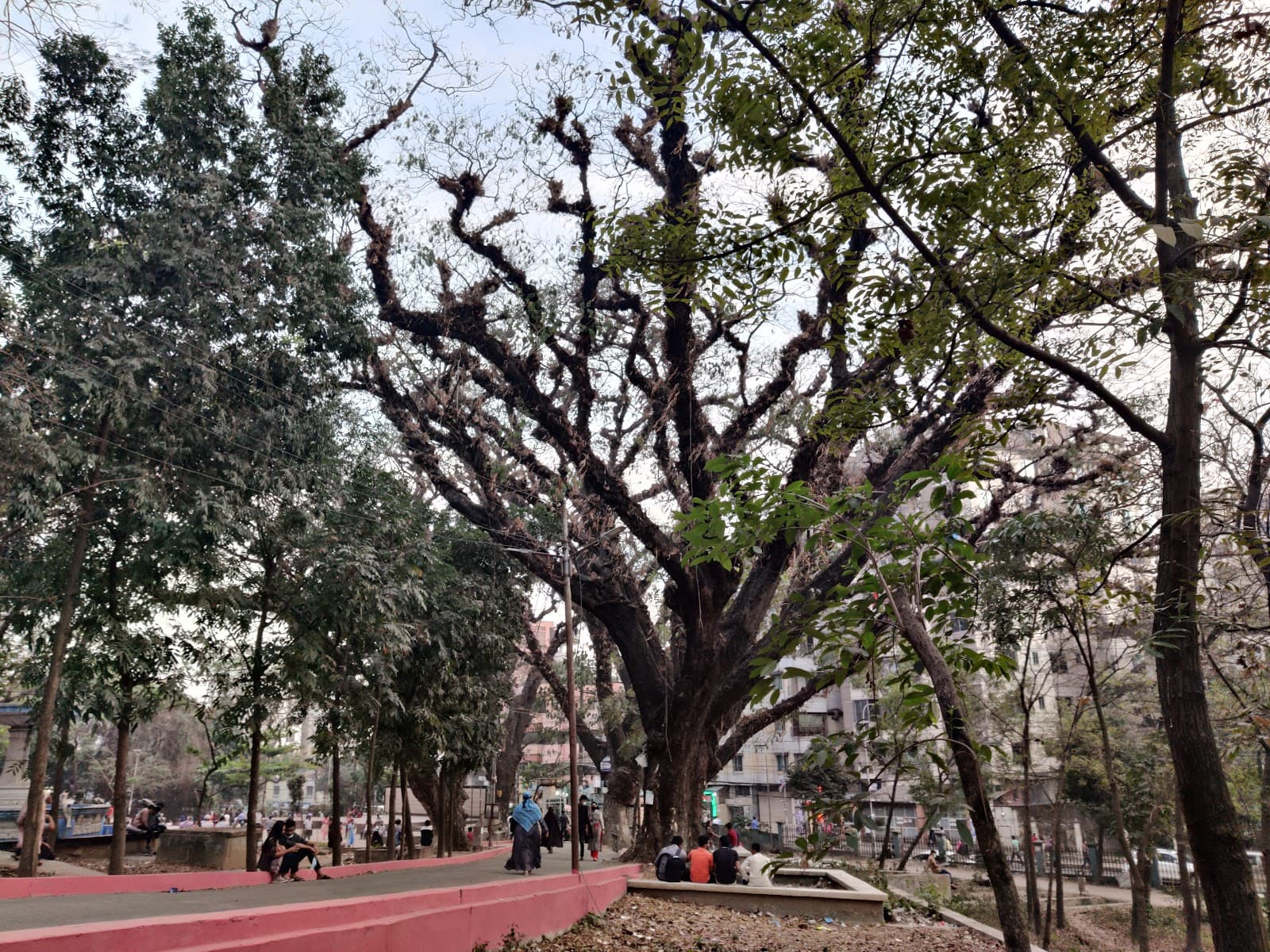 DC Hill Park - Image 1