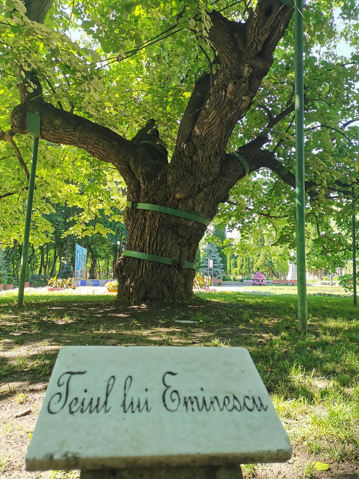 Peaceful Park Setting