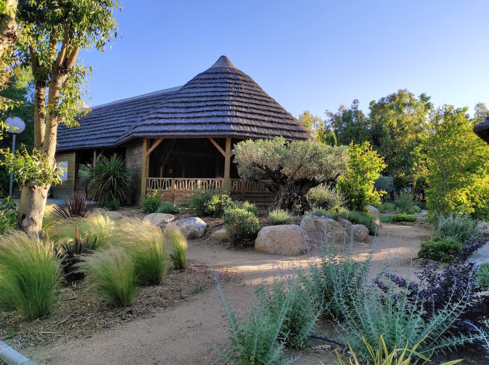 Plage de Calvi La Pinède - Image 1