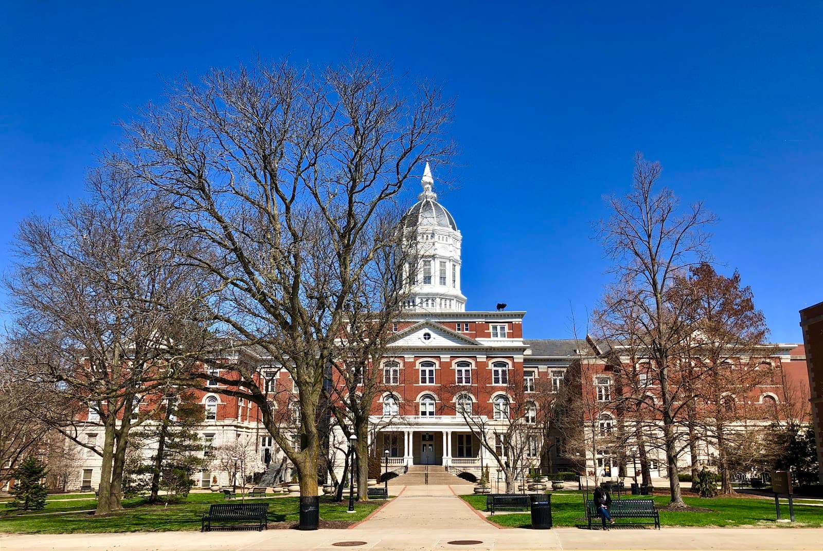 Jesse Hall - Image 1