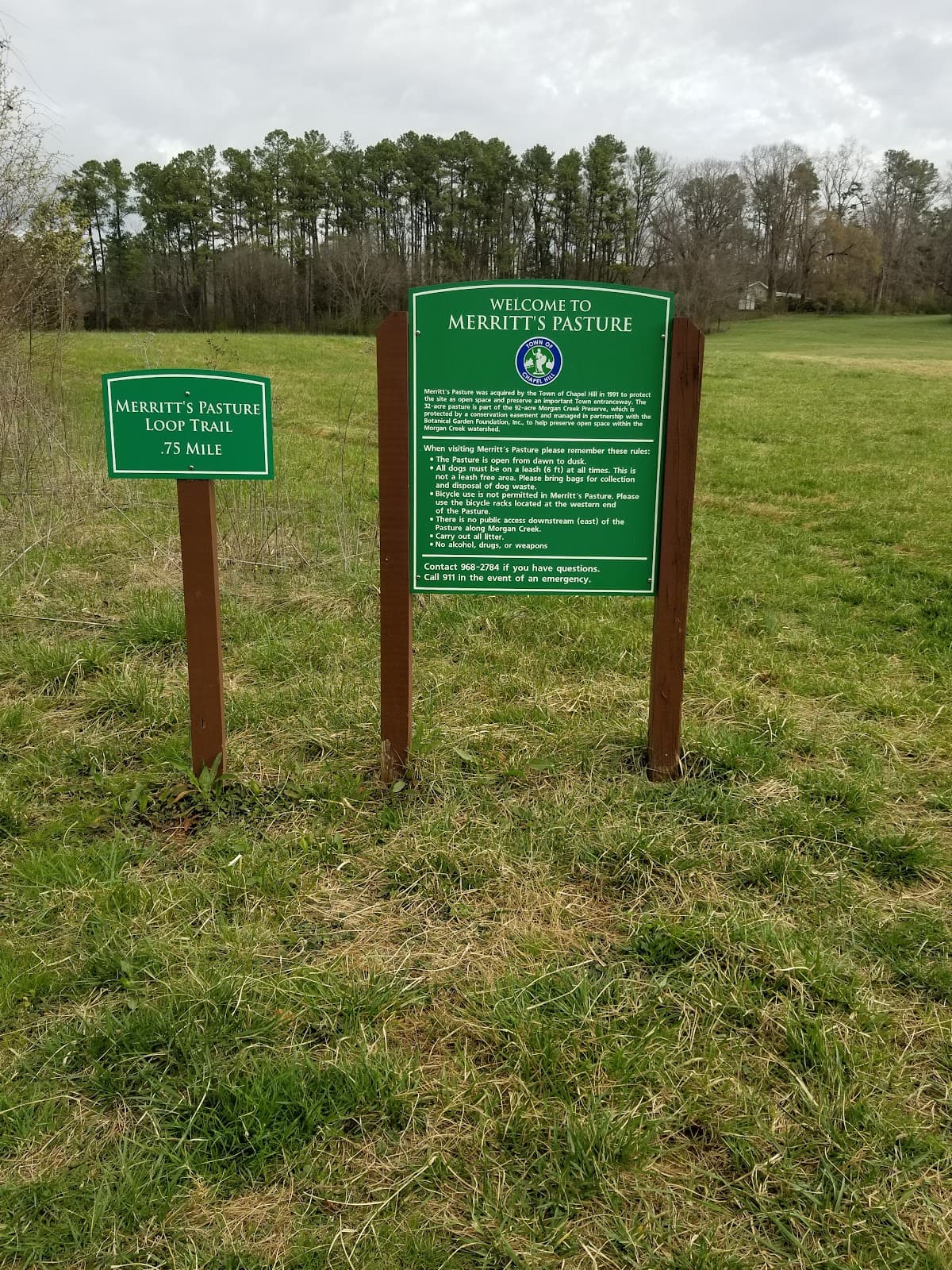 Merritt's Pasture - Image 1