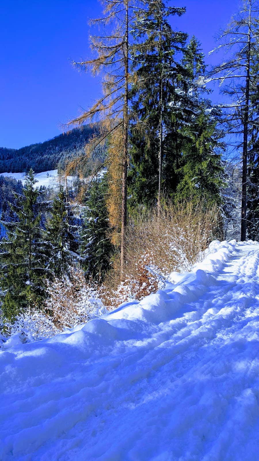 Picturesque Rural Landscapes