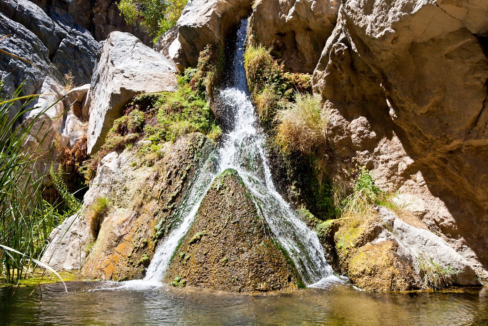 Darwin Falls Death Valley - Image 1