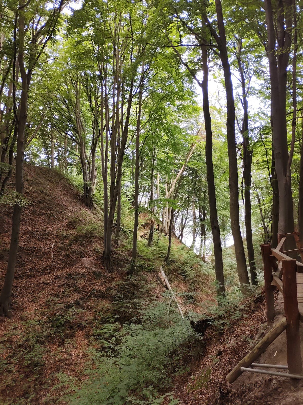 Lisi Jar Ravine - Image 1