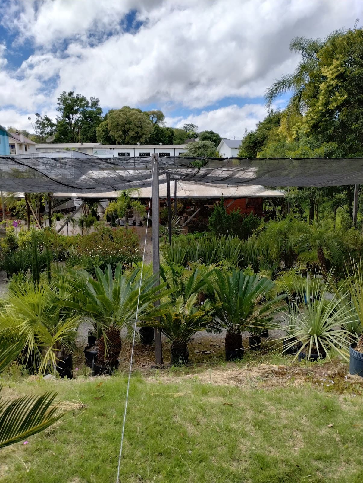Avenida Buarque de Macedo - Image 1