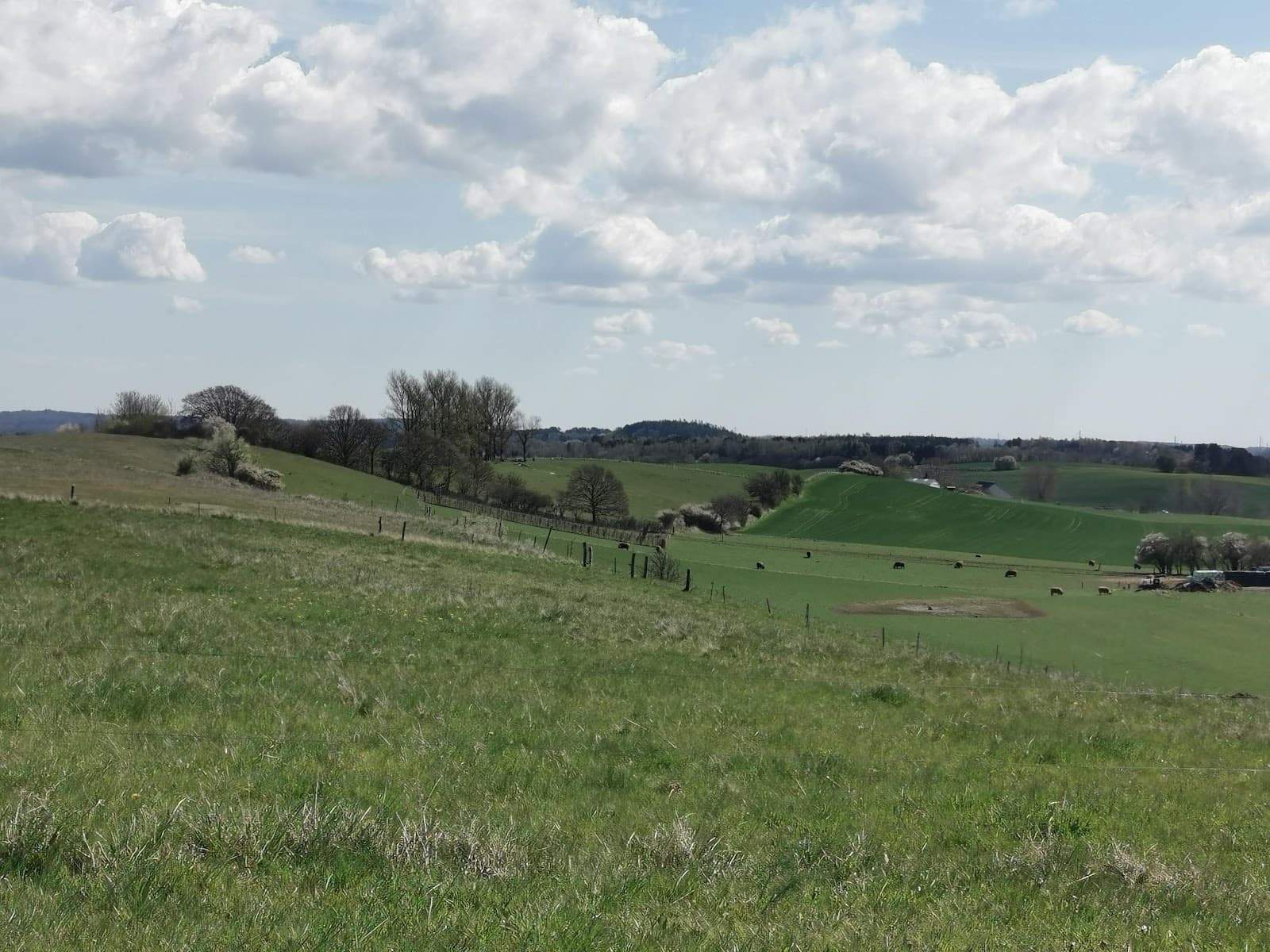 Strø Bjerge Hills - Image 1