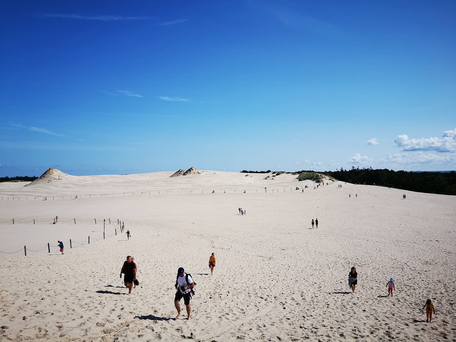 Sapotskin and Sand Dunes - Image 1