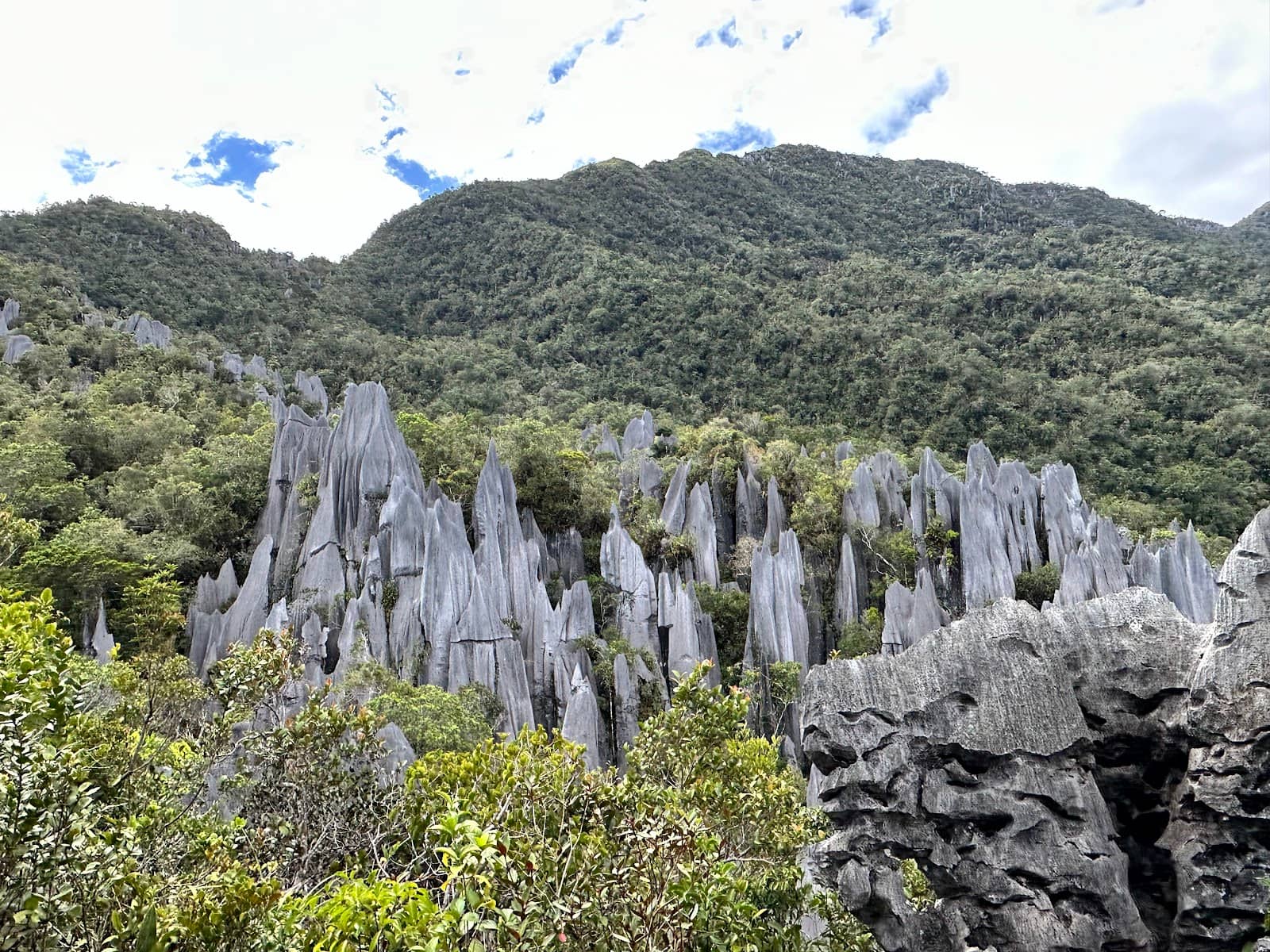 Mulu Pinnacles Hike