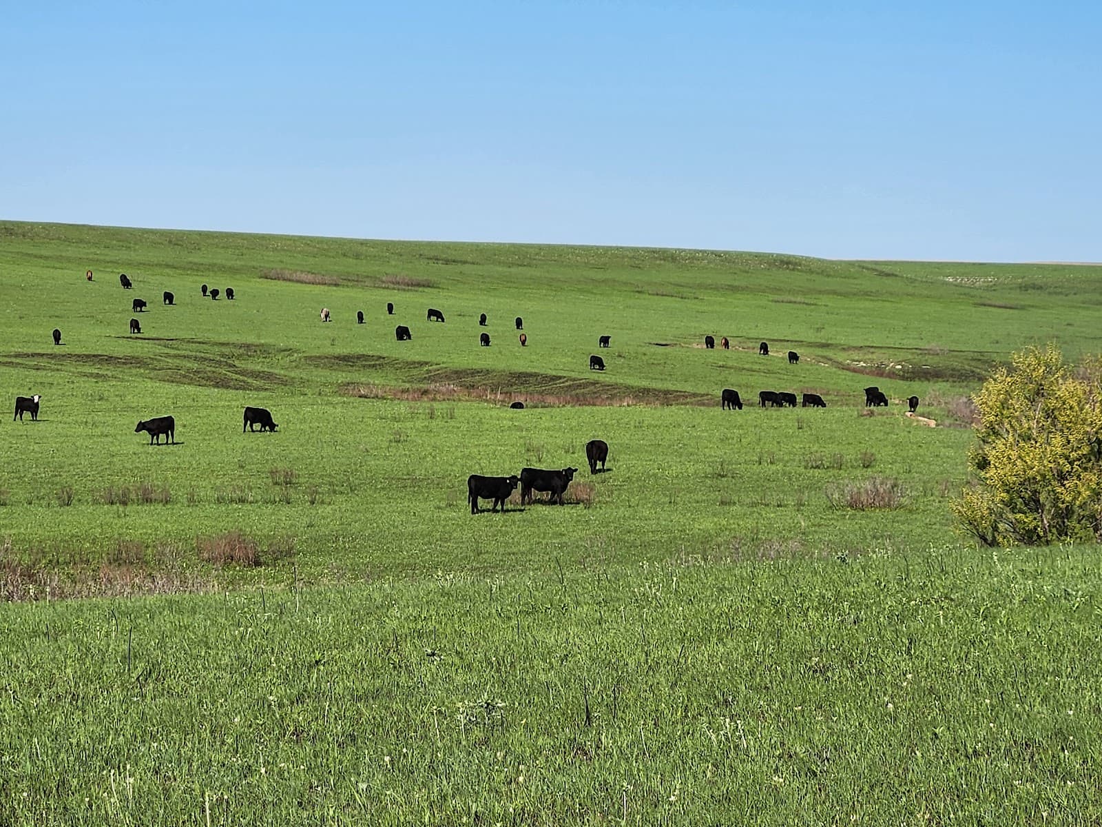 Tallgrass Prairie National Preserve - Image 1