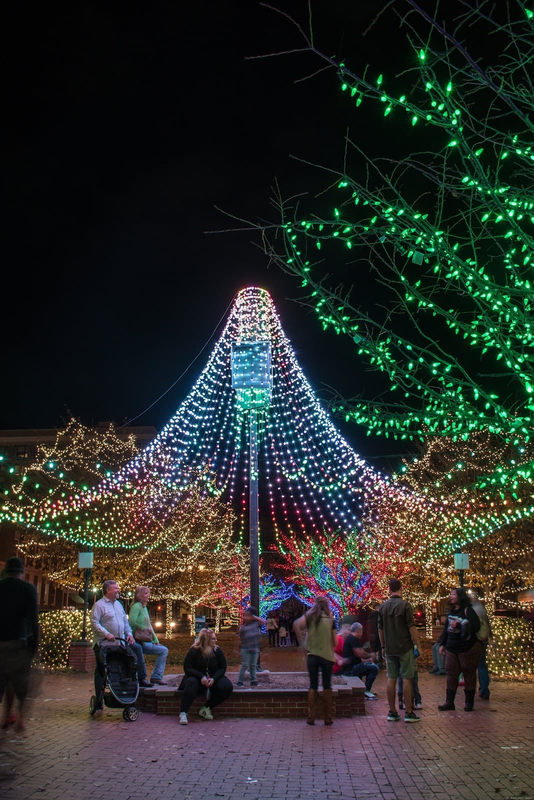 Poplar Street - Image 1