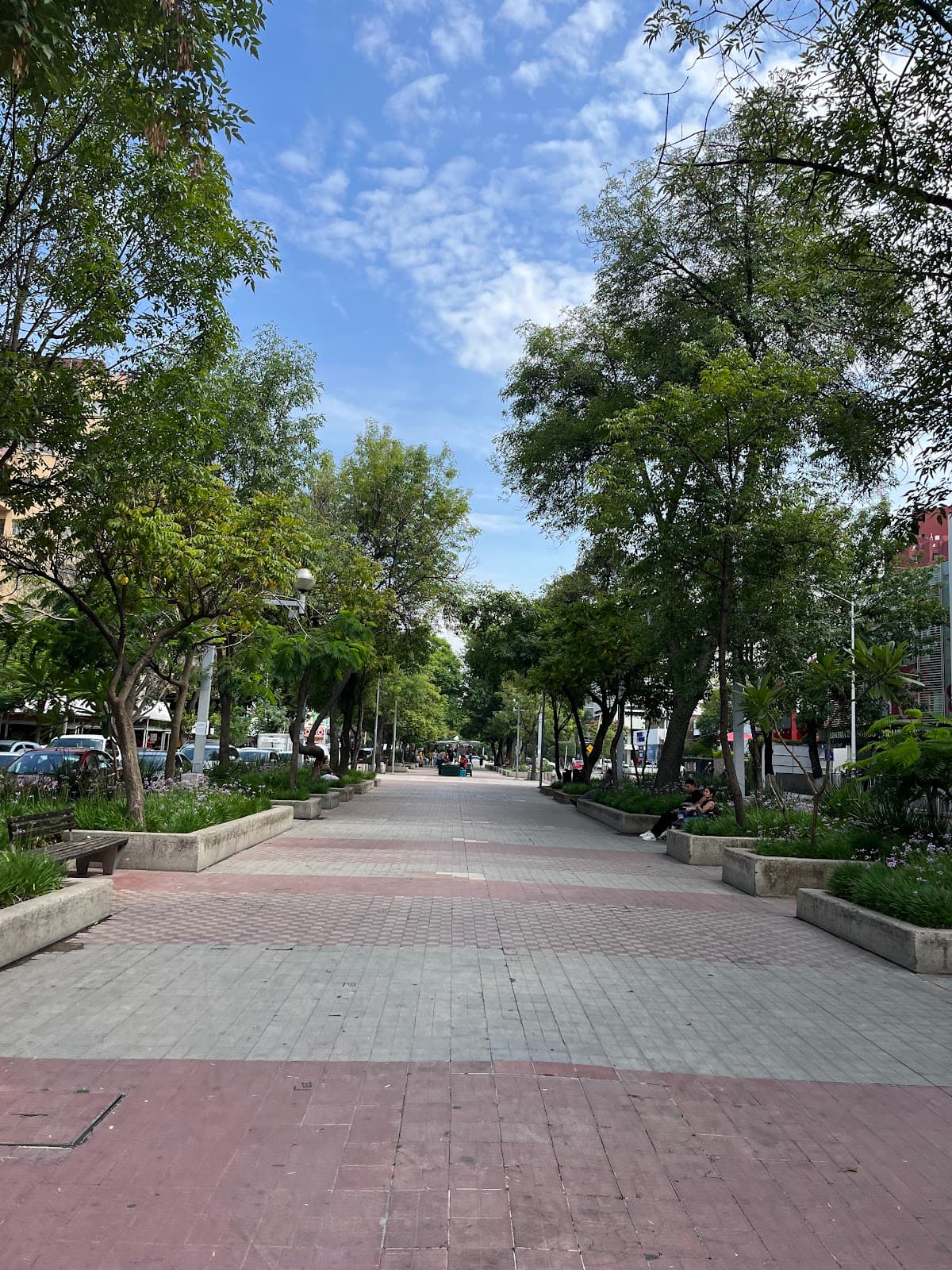 Avenida Chapultepec Paseo Chapultepec - Image 1