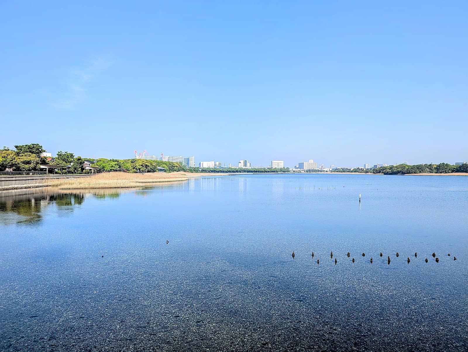 Diverse Flora and Fauna