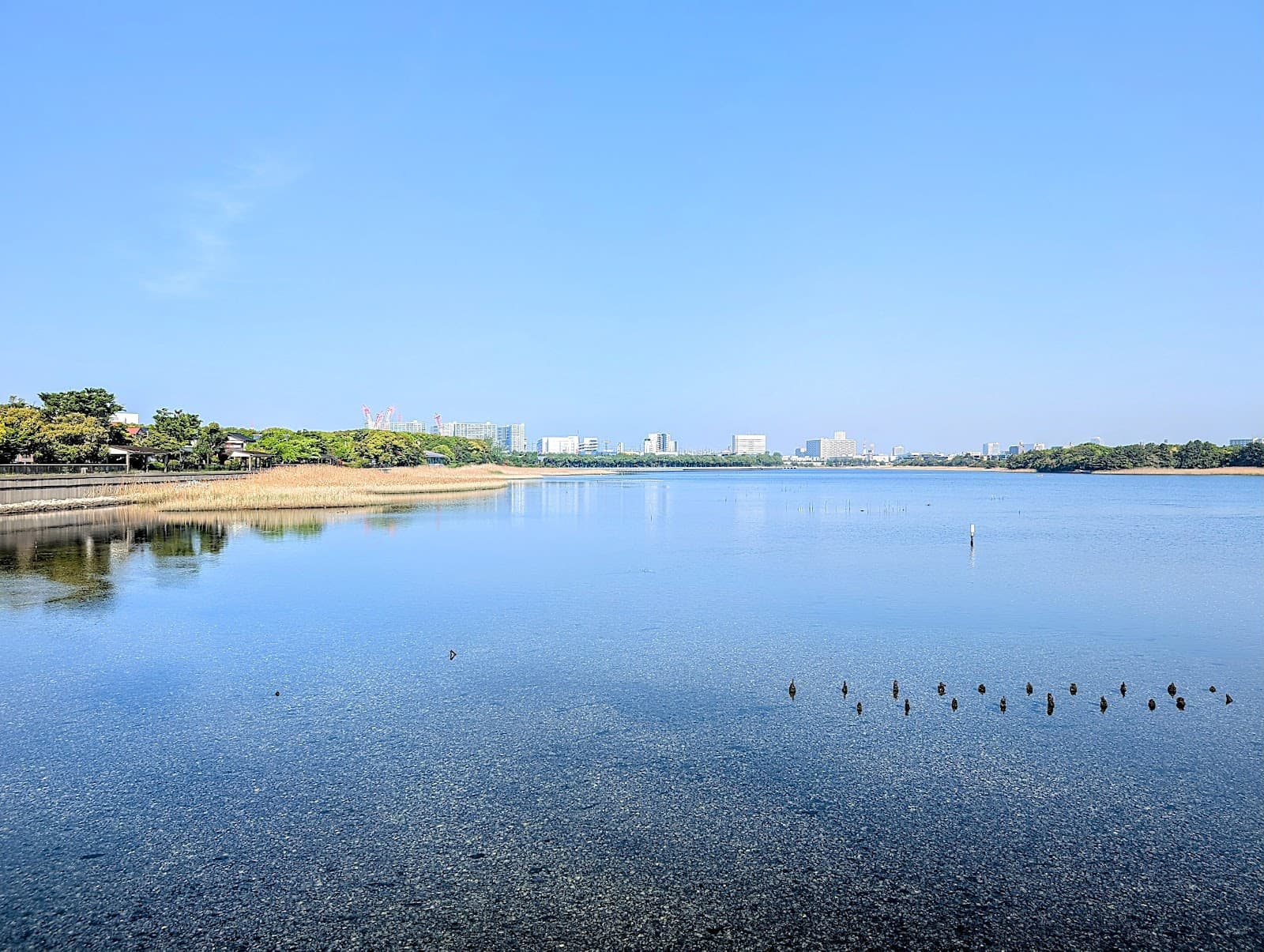 Yatsu Tidal Flat - Image 1