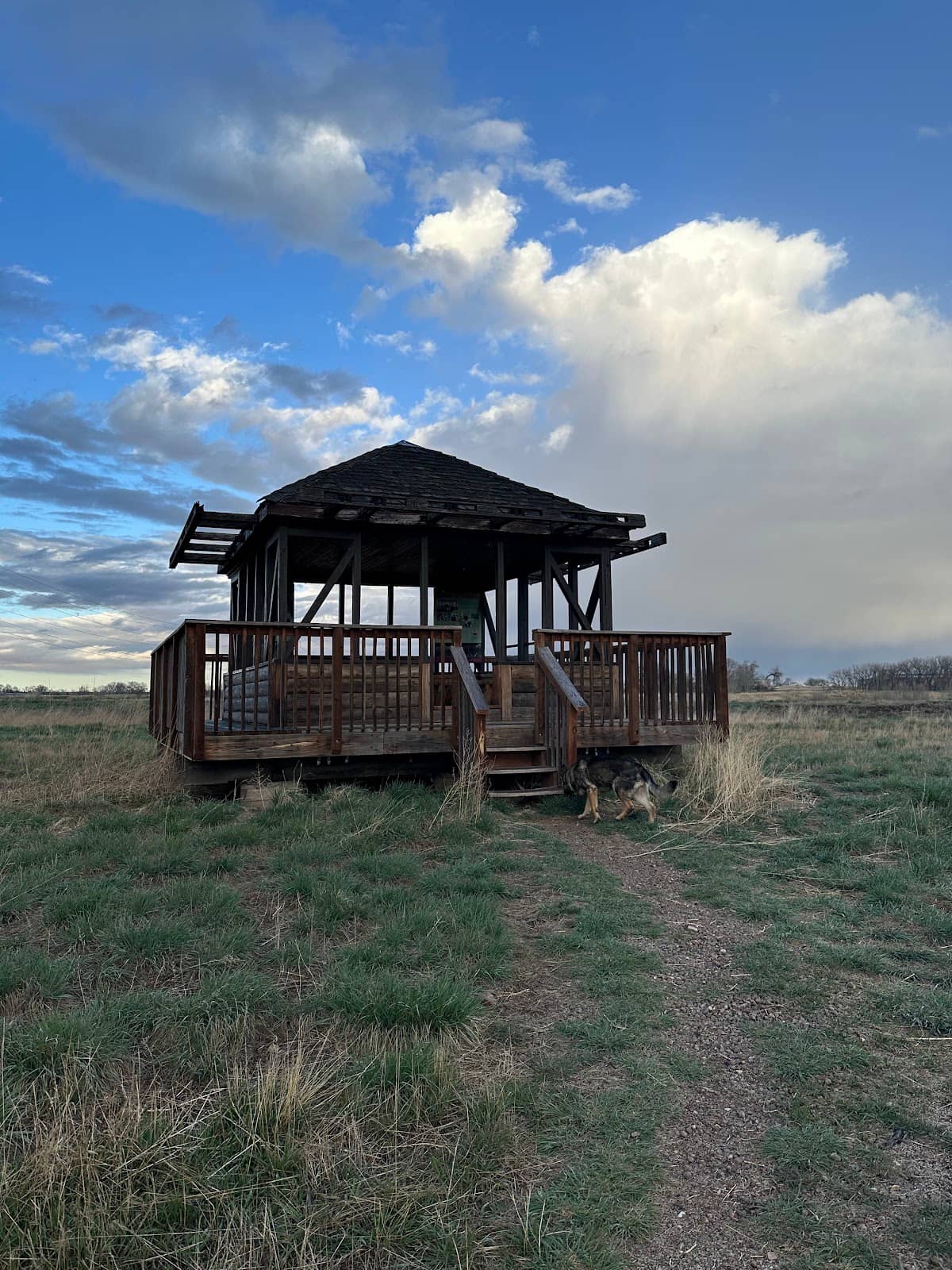 Accessible Walking Trails