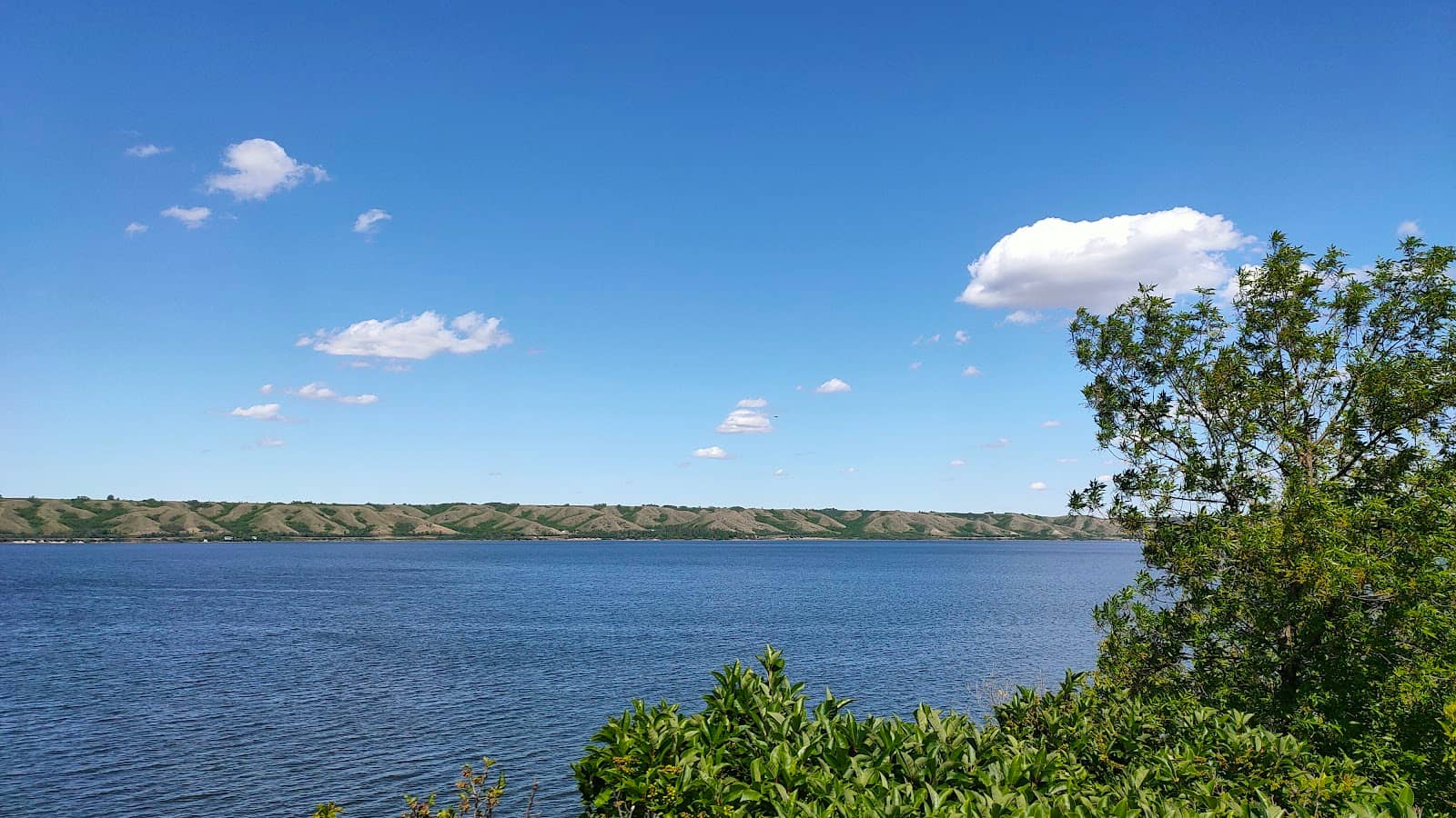 Lake Life