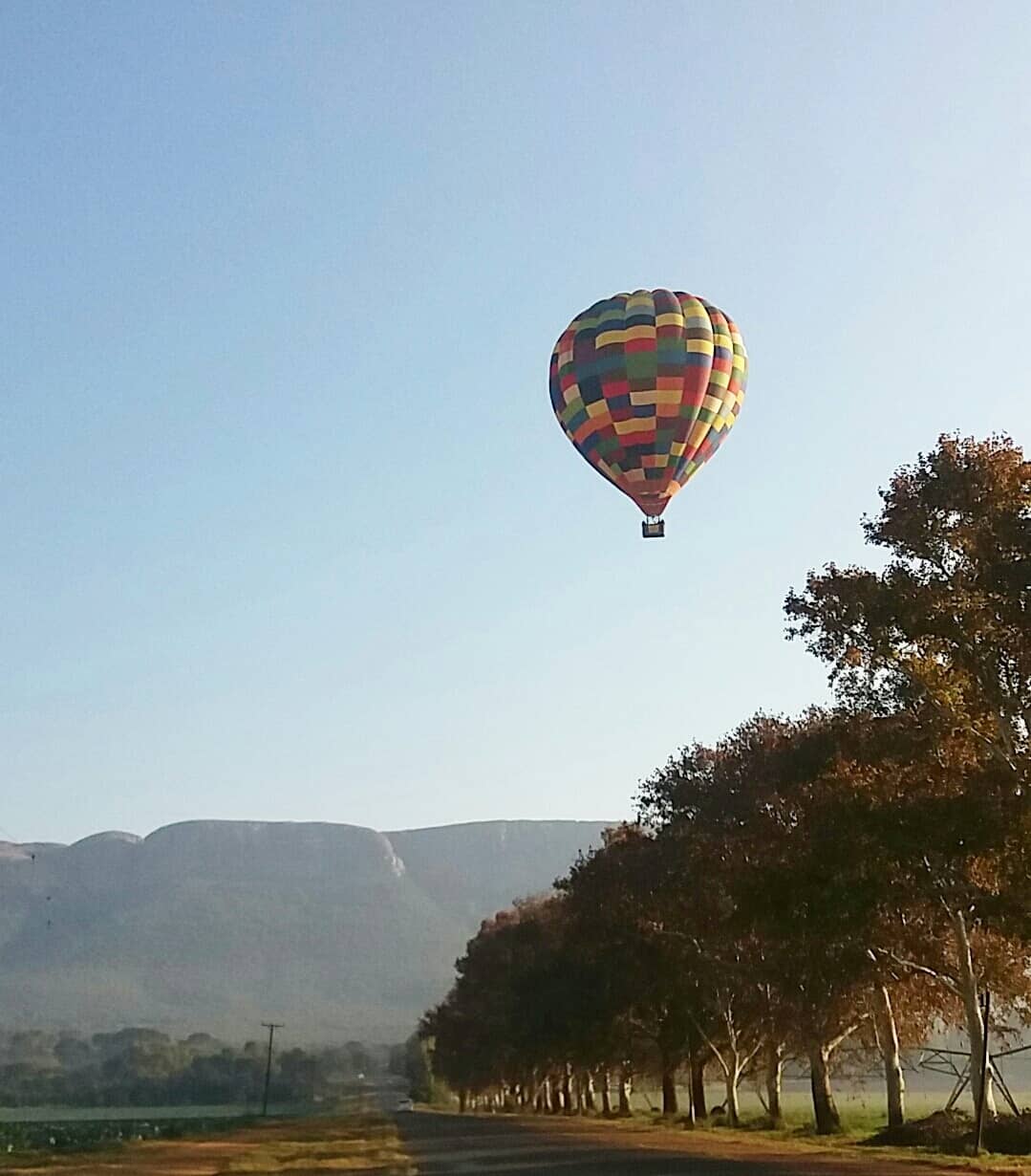 The Nut and Owl Pecan Farm