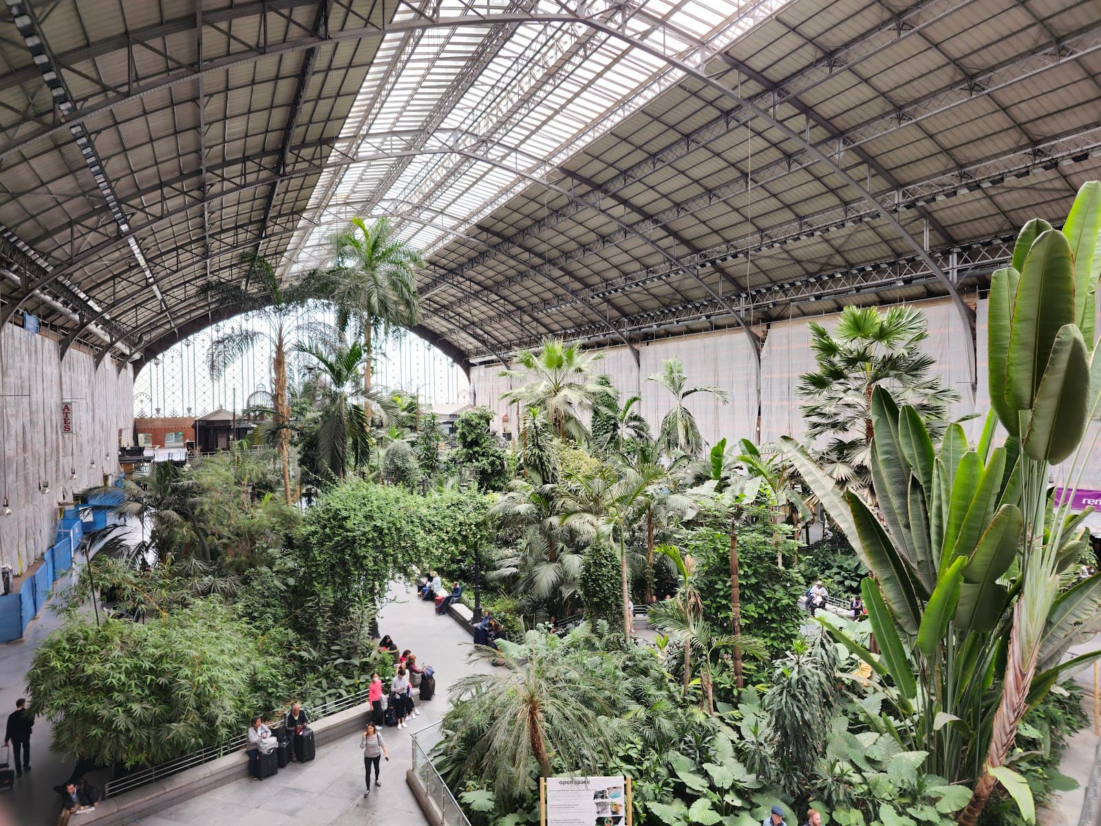 Atocha Station Tropical Garden Madrid - Image 1