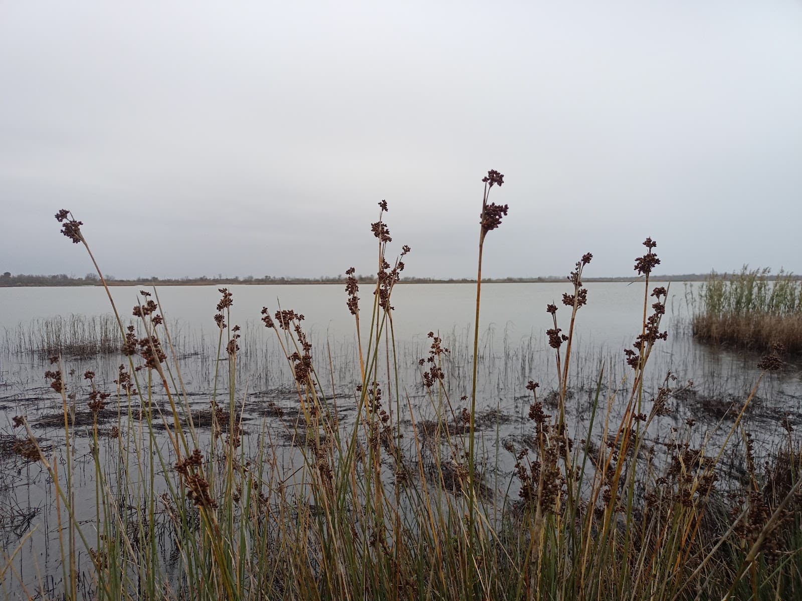 Viluni Lagoon - Image 1