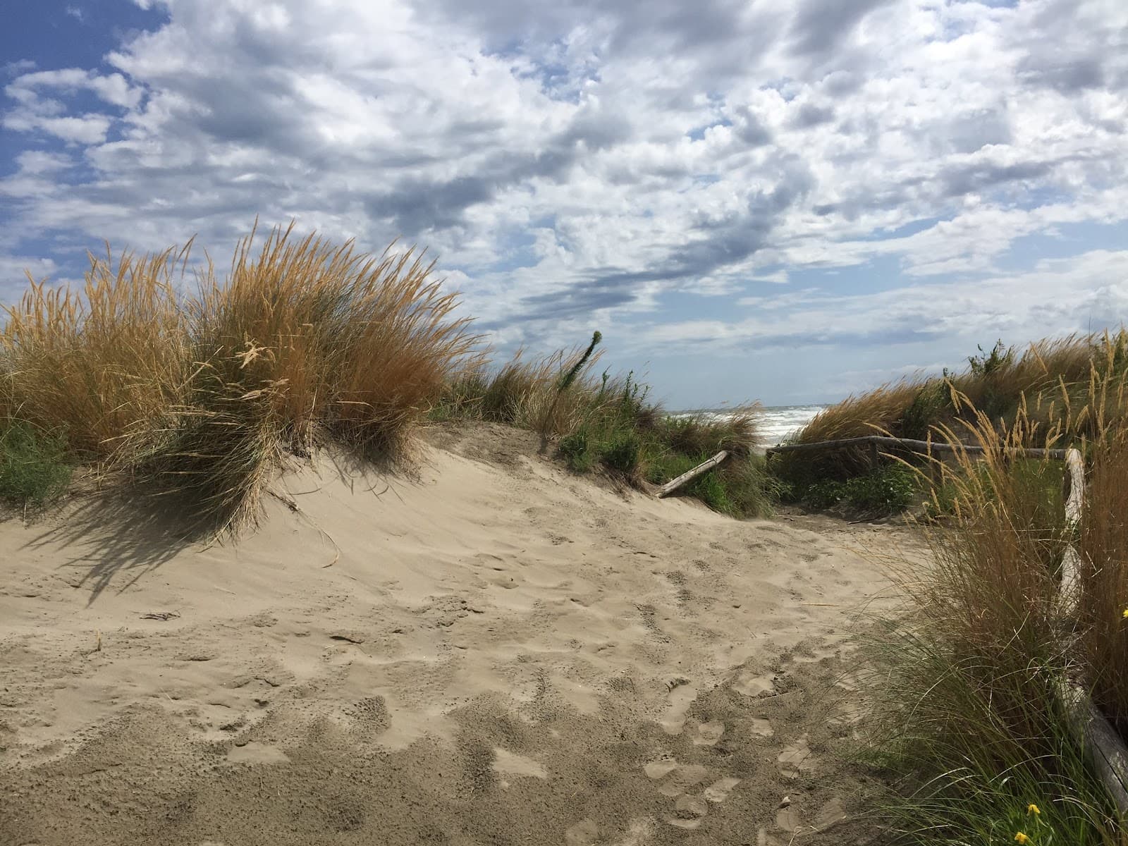 Oasi Lipu Ca' Roman - Image 1