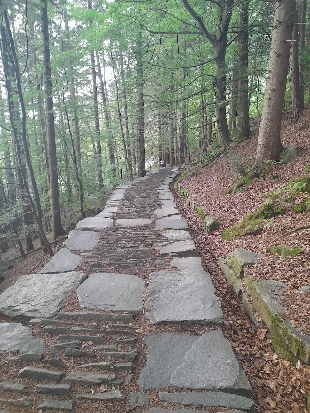 Sandviksfjellet Summit - Image 1
