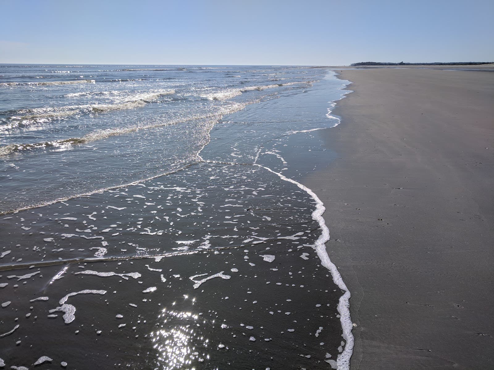 Bulls Island Cape Romain National Wildlife Refuge - Image 1