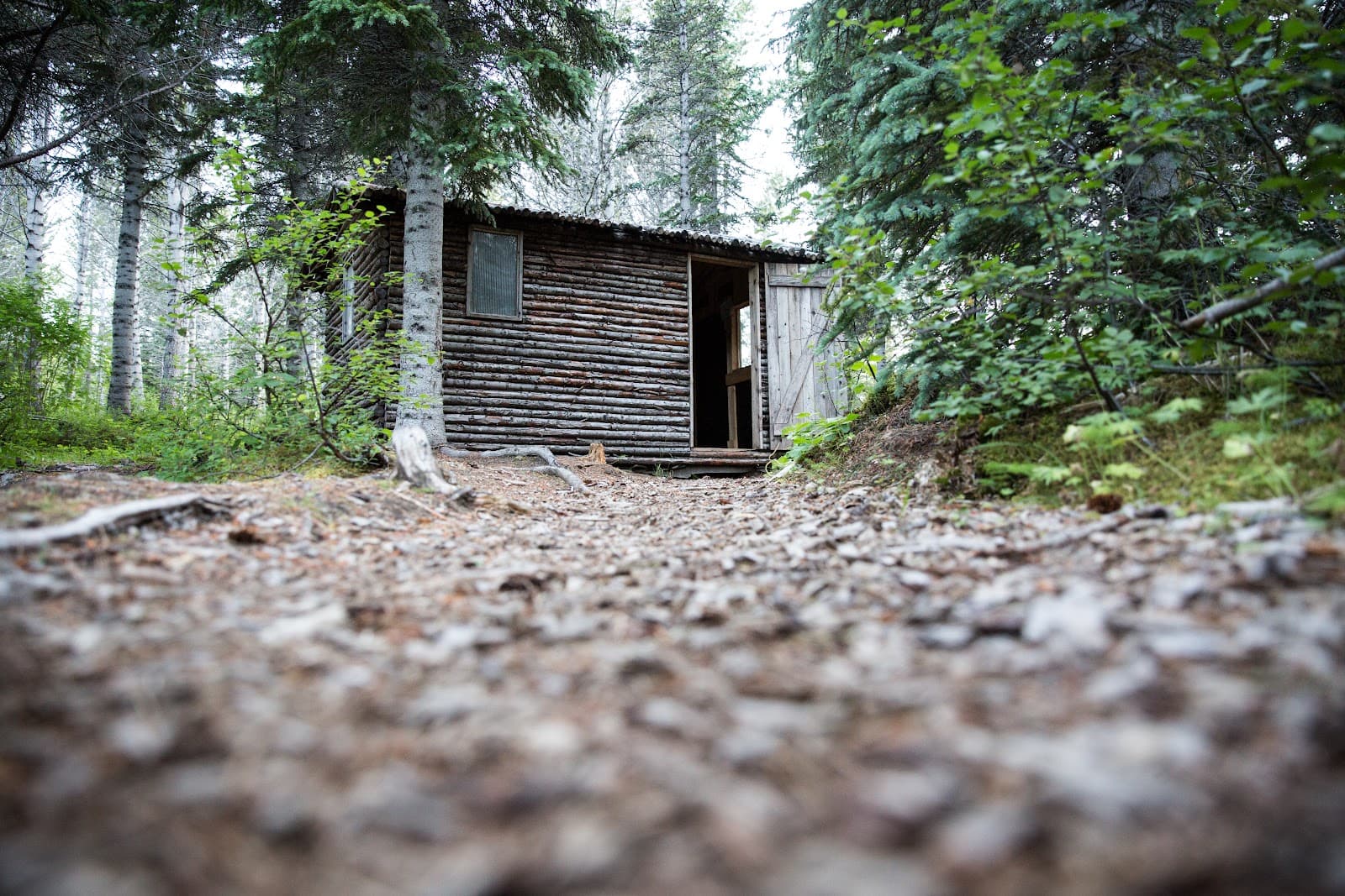 Hallormsstaðaskógur - Image 1