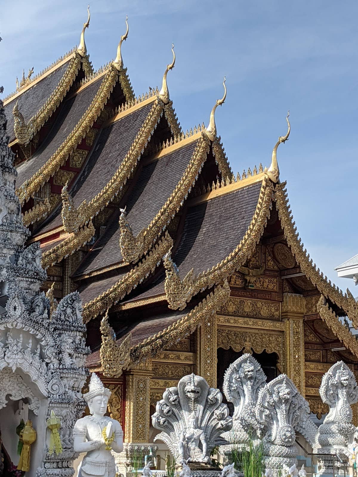 Lamphun's Longan Orchards