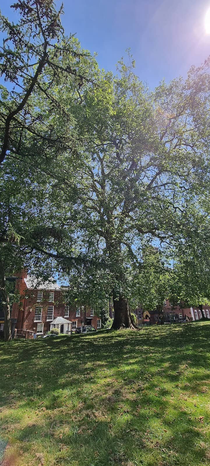 Princesshay Shopping Centre