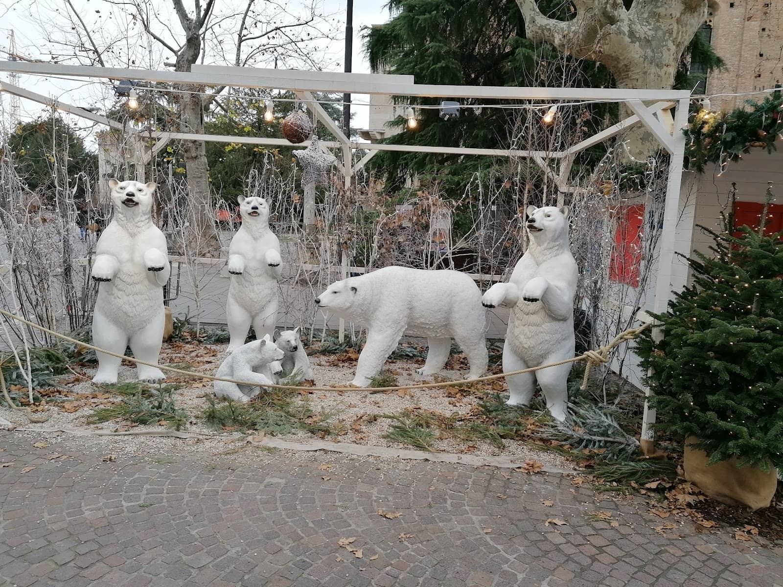 Church of the Eremitani